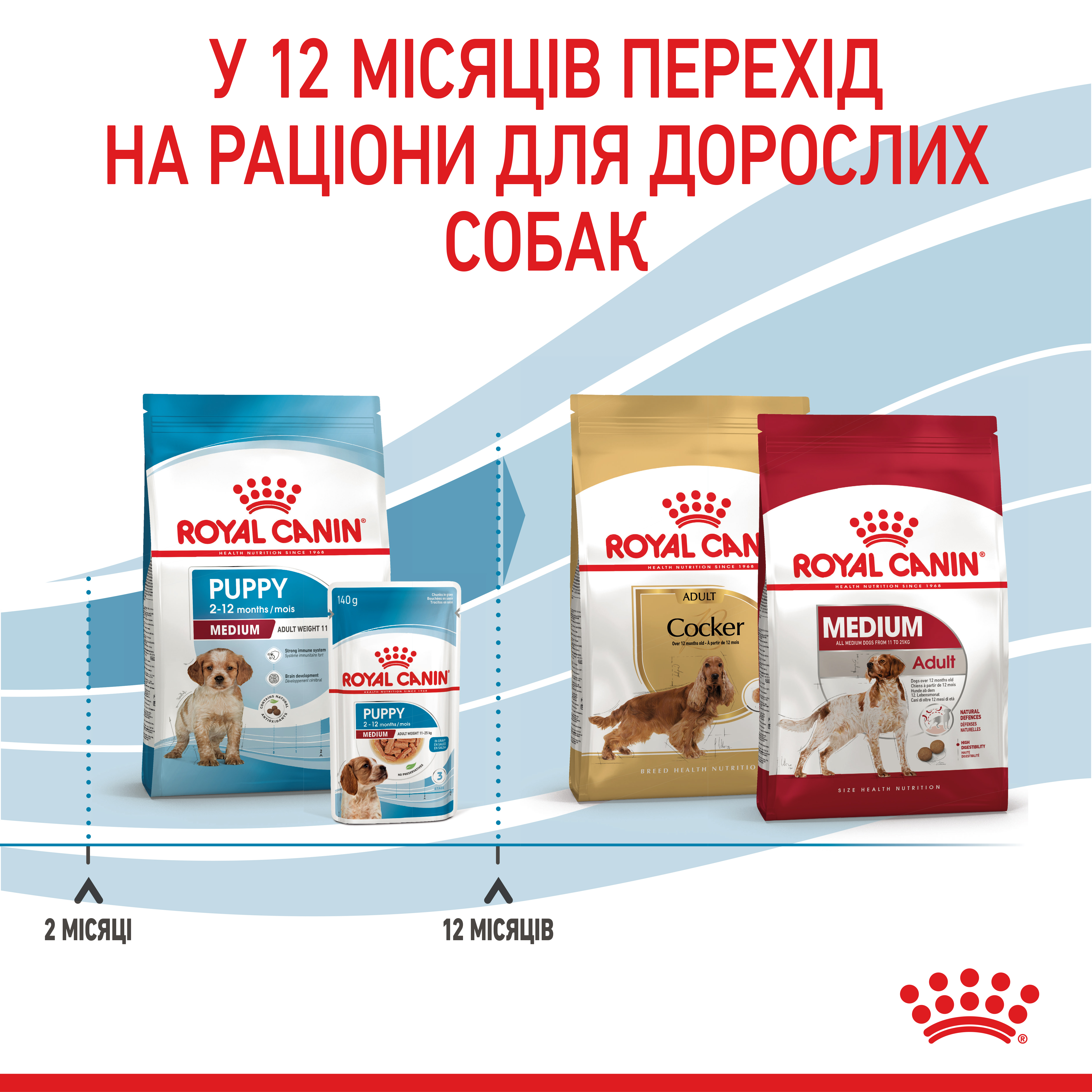 Сухий корм Royal Canin Medium Puppy для цуценят середніх порід 1кг
