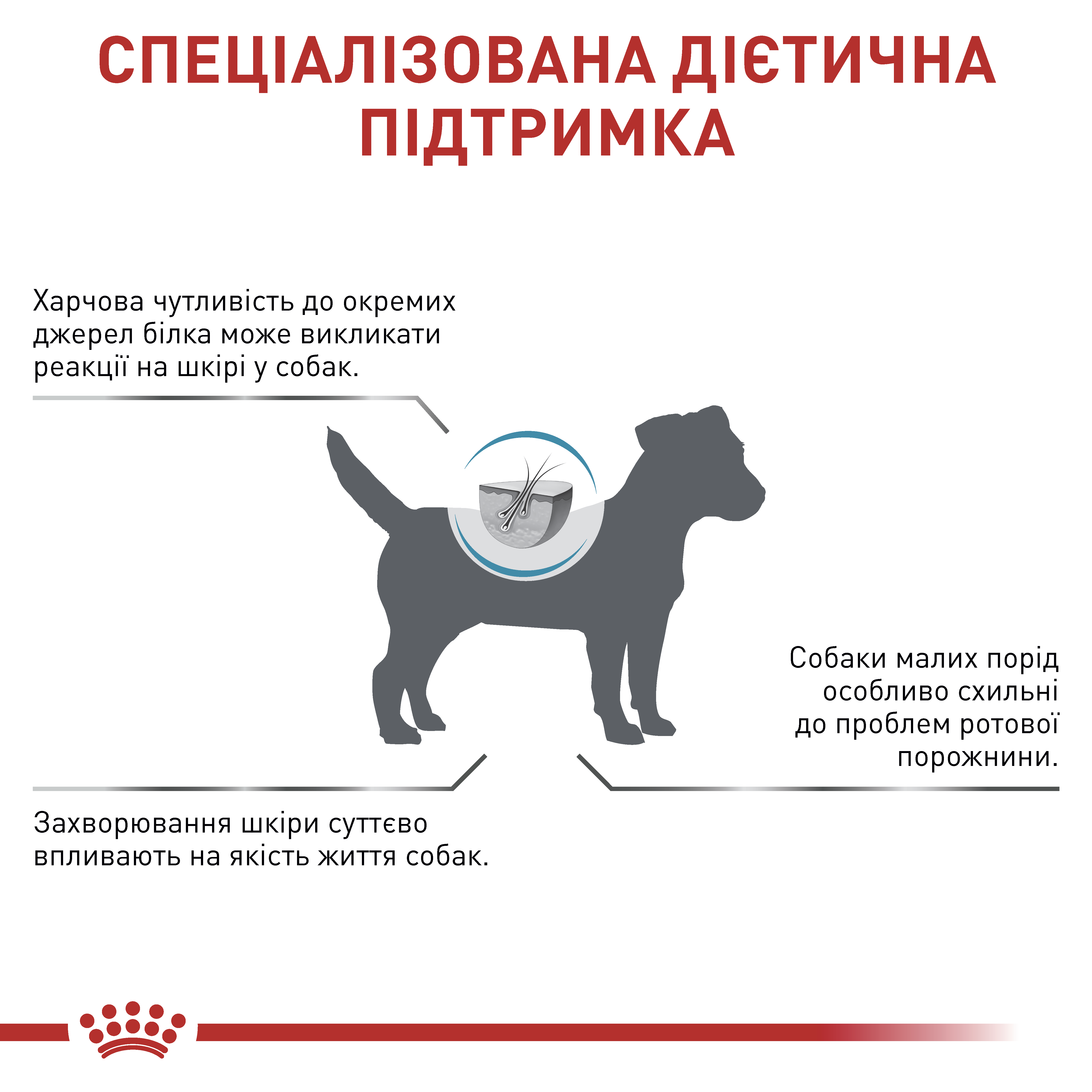 Сухий корм Royal Canin Anallergenic Small Dog для собак малих порід при харчовій алергії 1,5кг