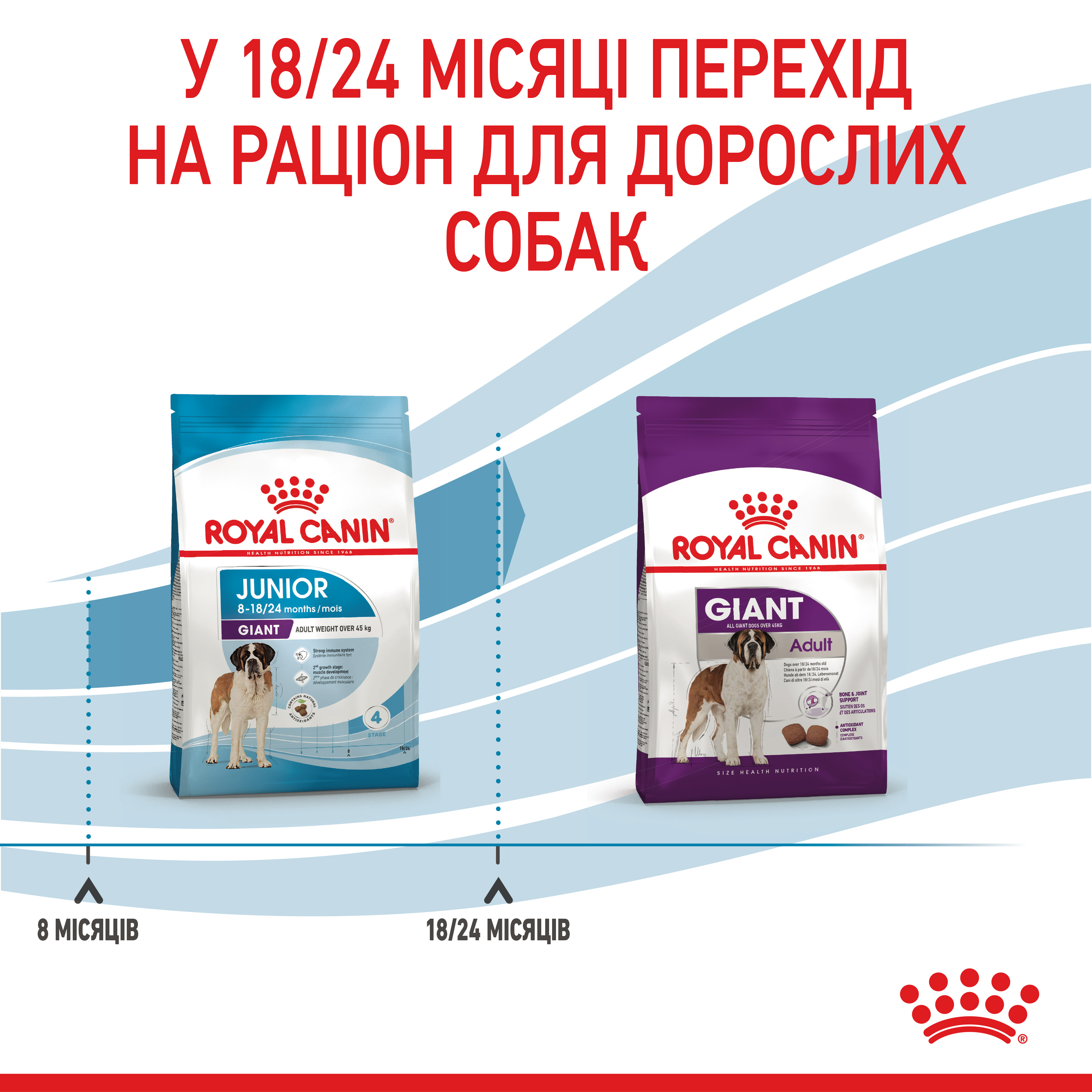 Сухий корм Royal Canin Giant Junior для цуценят гігантських порід 15кг