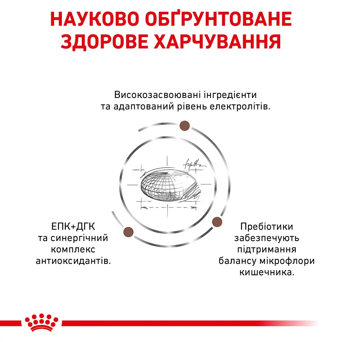 Сухий корм Royal Canin Gastro Intestinal Dog для собак при порушеннях травлення 15кг