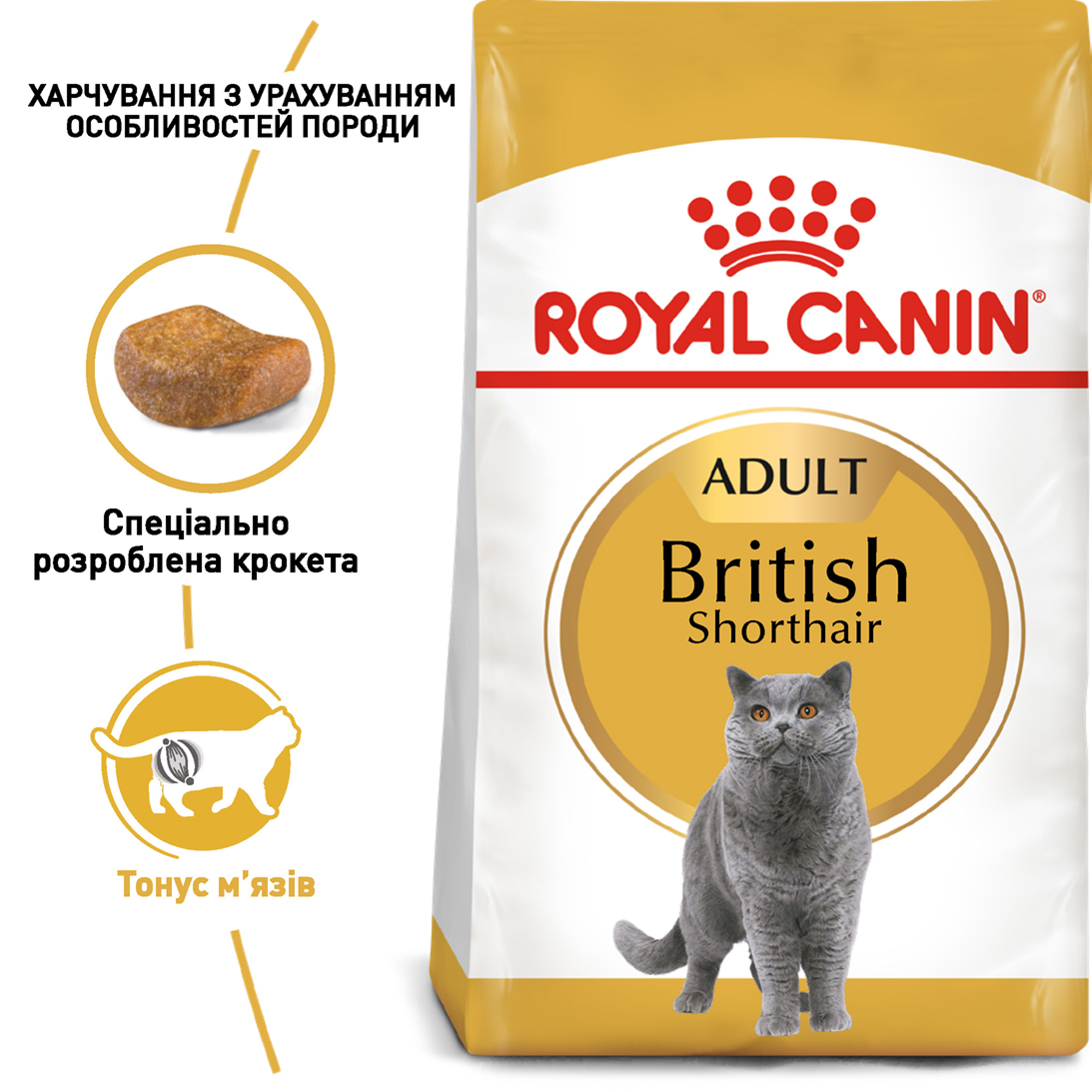 Сухий корм Royal Canin British Shorthair для котів породи Британська короткошерстна 400г