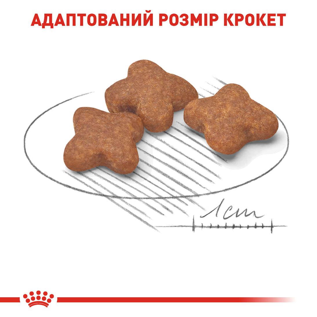 Сухий корм Royal Canin Mini Adult 8+ для дрібних собак похилого віку 800г