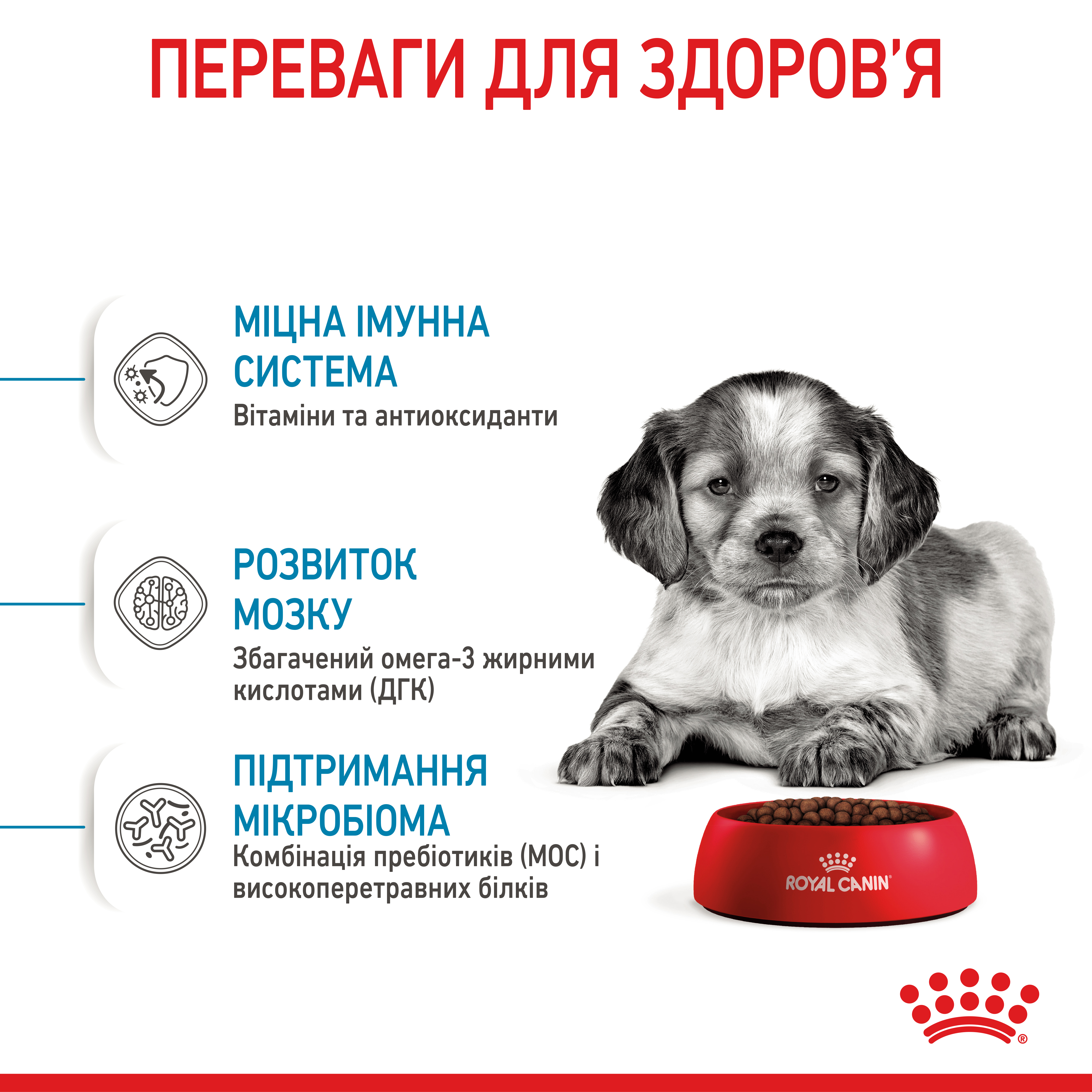 Сухий корм Royal Canin Medium Puppy для цуценят середніх порід 4кг