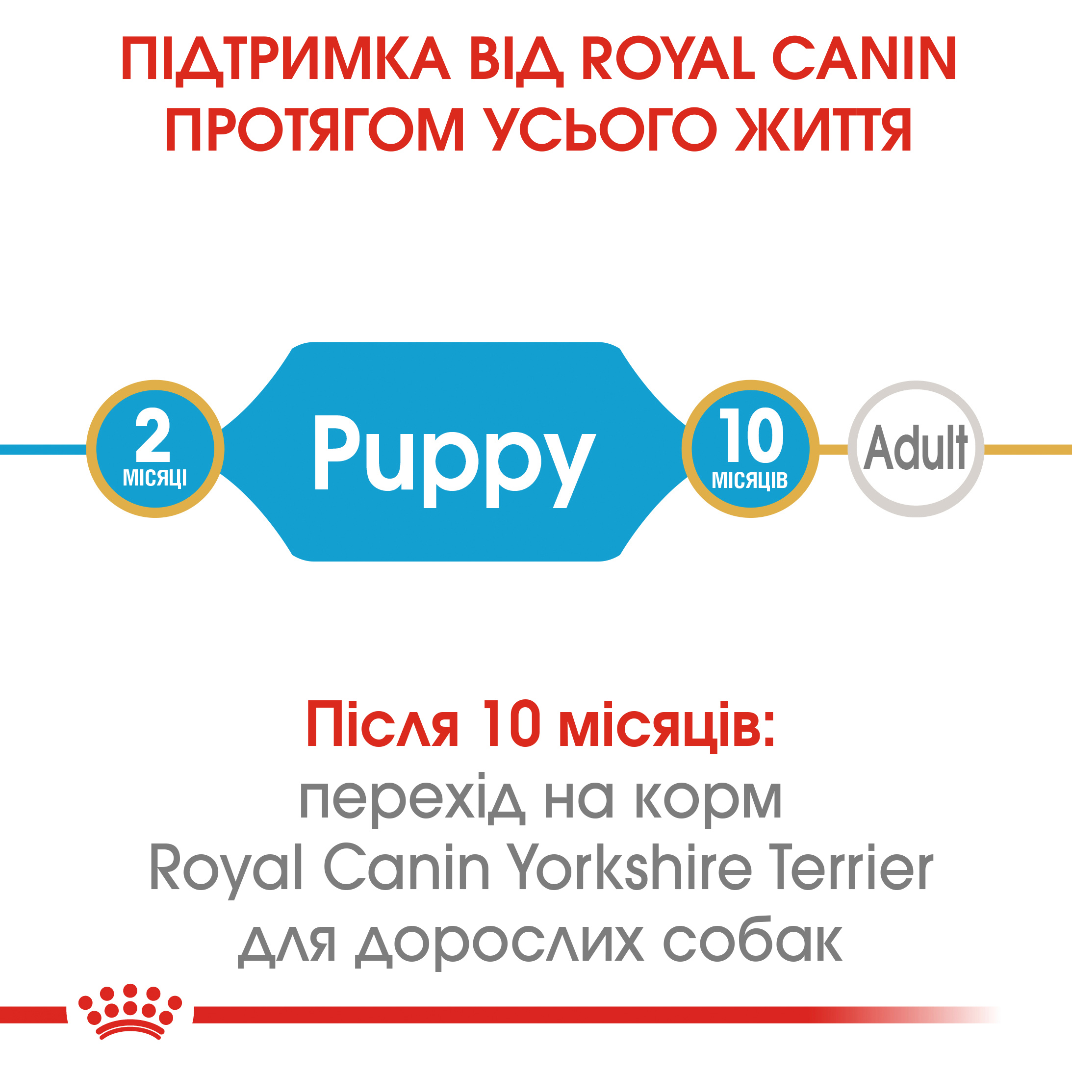 Сухий корм Royal Canin Yorkshire Junior для цуценят Йоркширських тер'єрів 1,5кг