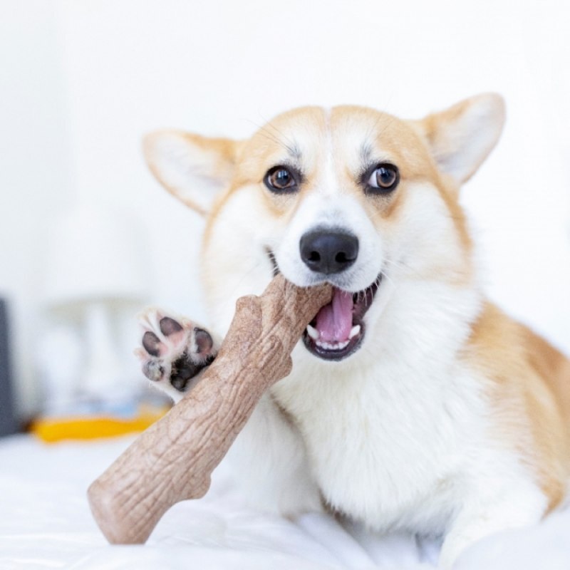 Petstages Dogwood Stick Іграшка для собак Міцна гілка 13,5 см