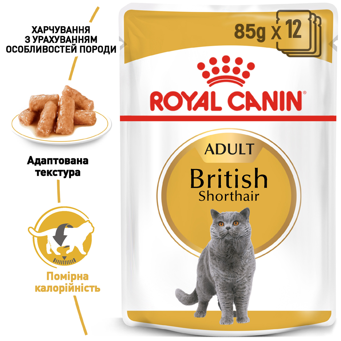 Вологий корм Royal Canin British Shorthair для котів породи Британська короткошерстна