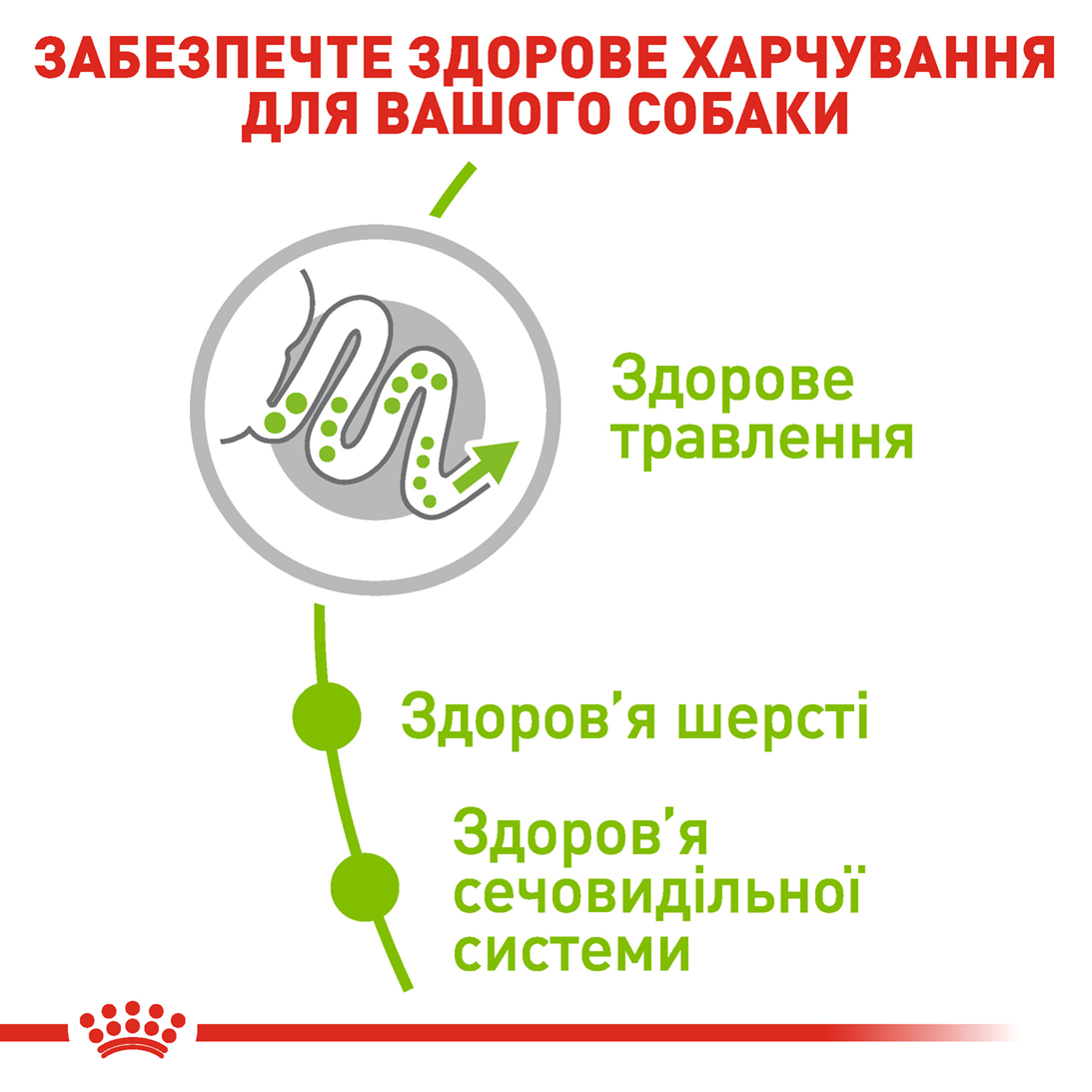 Сухий корм Royal Canin X-Small Adult для собак мініатюрних порід 500г