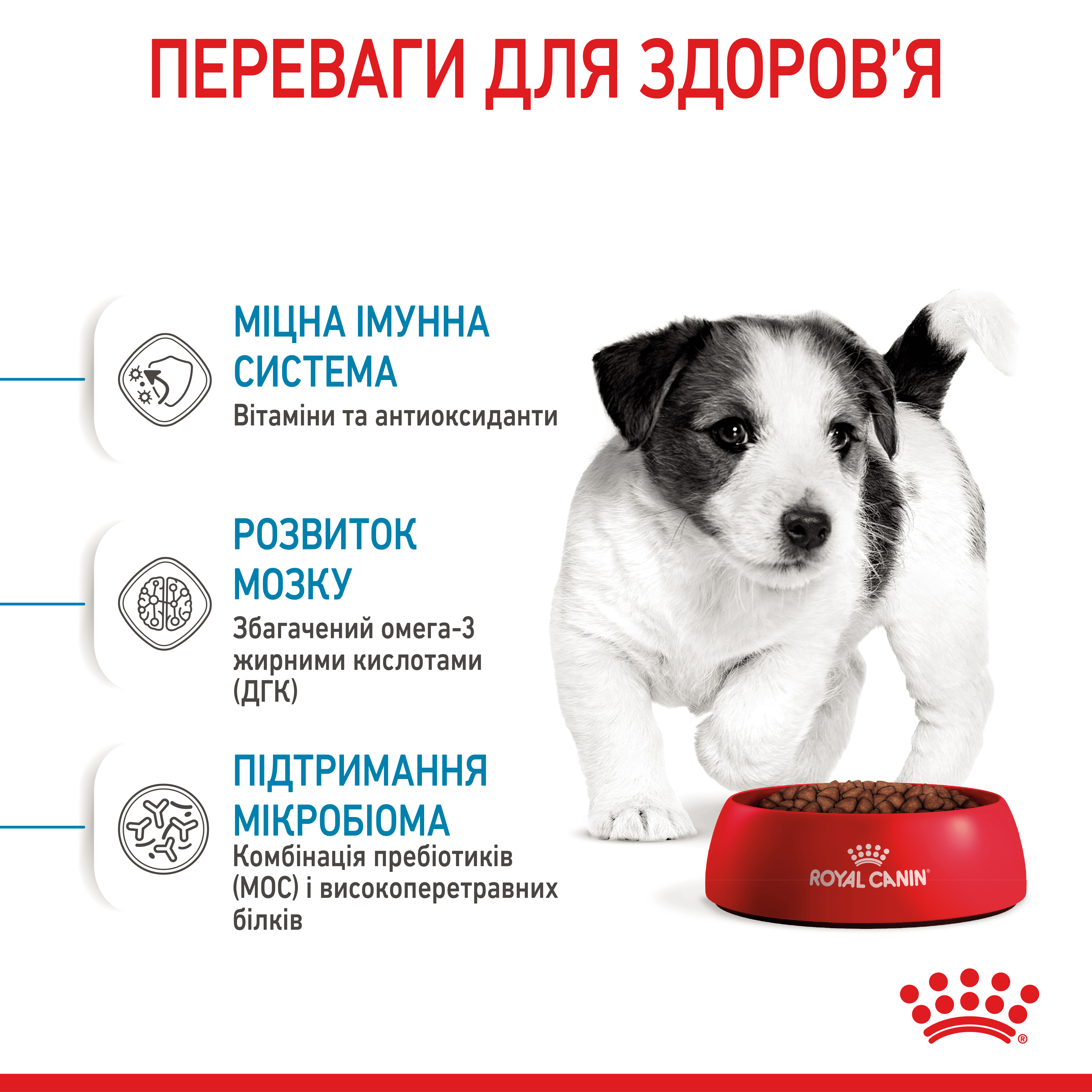 Сухий корм Royal Canin Mini Puppy для цуценят дрібних порід 800г