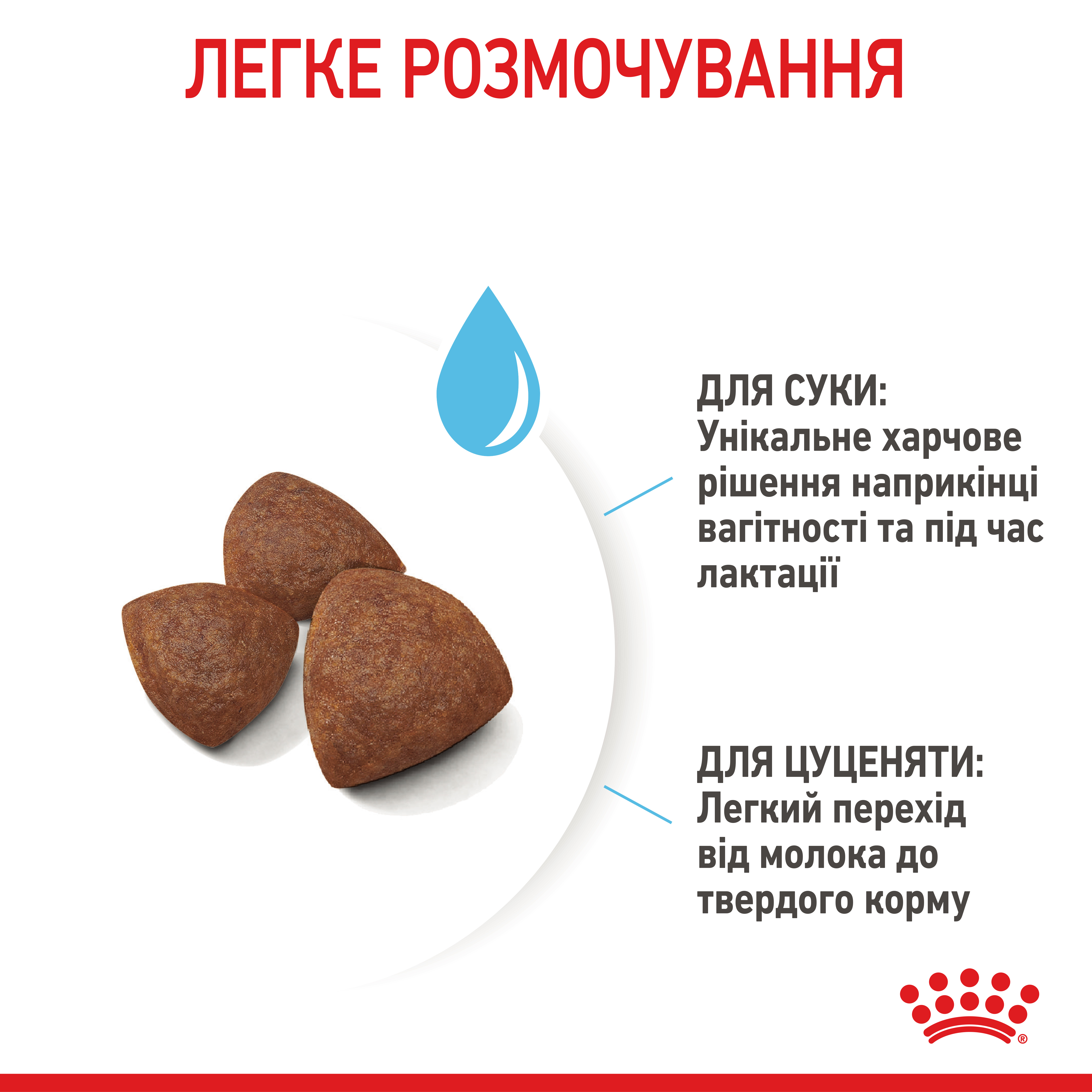 Сухий корм Royal Canin Medium Starter для цуценят середніх порід 1кг