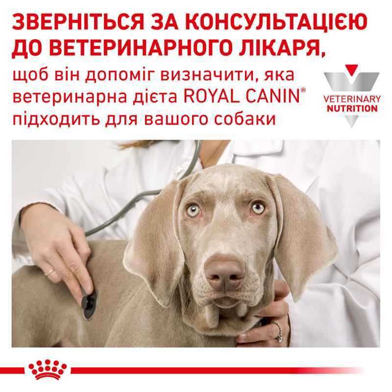 Сухий корм Royal Canin Hypoallergenic Dog для собак з харчовою алергією або непереносимістю 2 кг