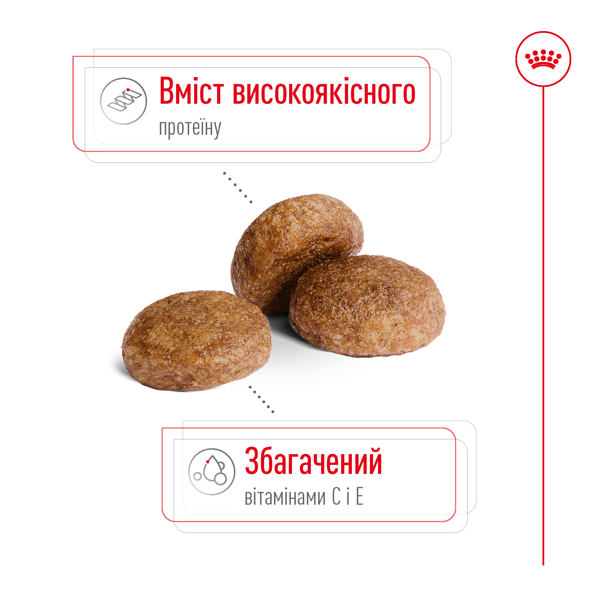 Сухий корм Royal Canin Medium Adult 7+ для собак середніх порід старше 7 років 4кг