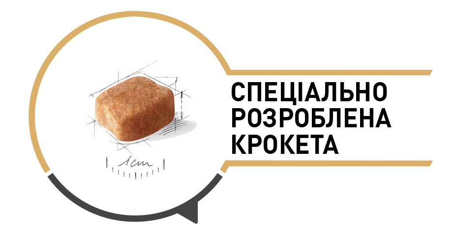Сухий корм Royal Canin Dachshund Adult для собак породи Такса 1,5кг