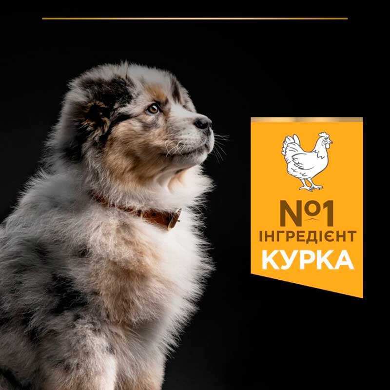 Сухий корм Purina Pro Plan Puppy Medium Healthy Start для цуценят середніх порід з куркою 3 кг