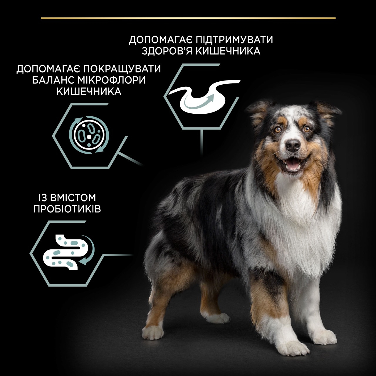 Сухий корм Purina Pro Plan Dog Adult Medium Sensitive Digestion Lamb для собак середніх порід з ягням 3 кг