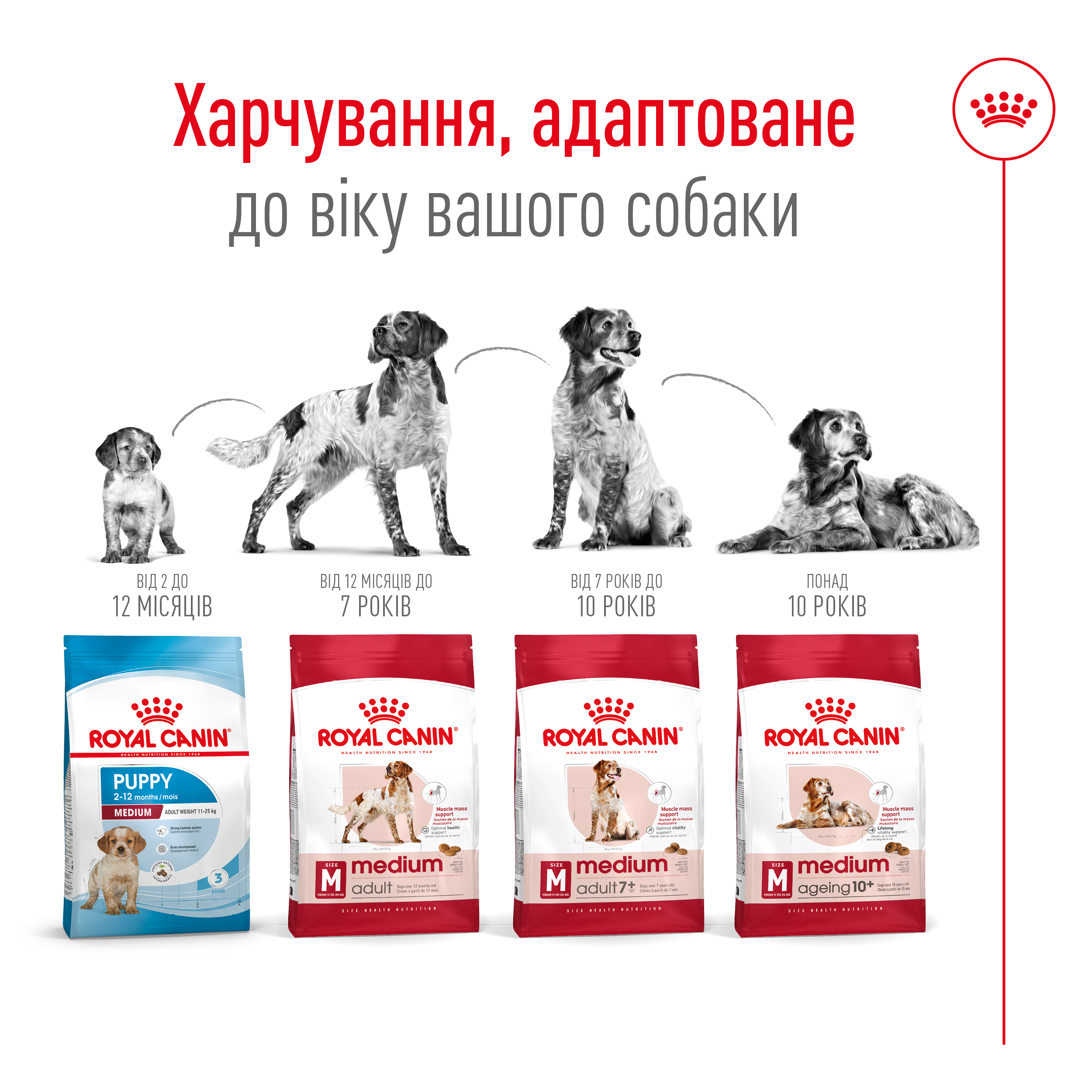 Сухий корм Royal Canin Medium Adult для собак середніх порід 4кг