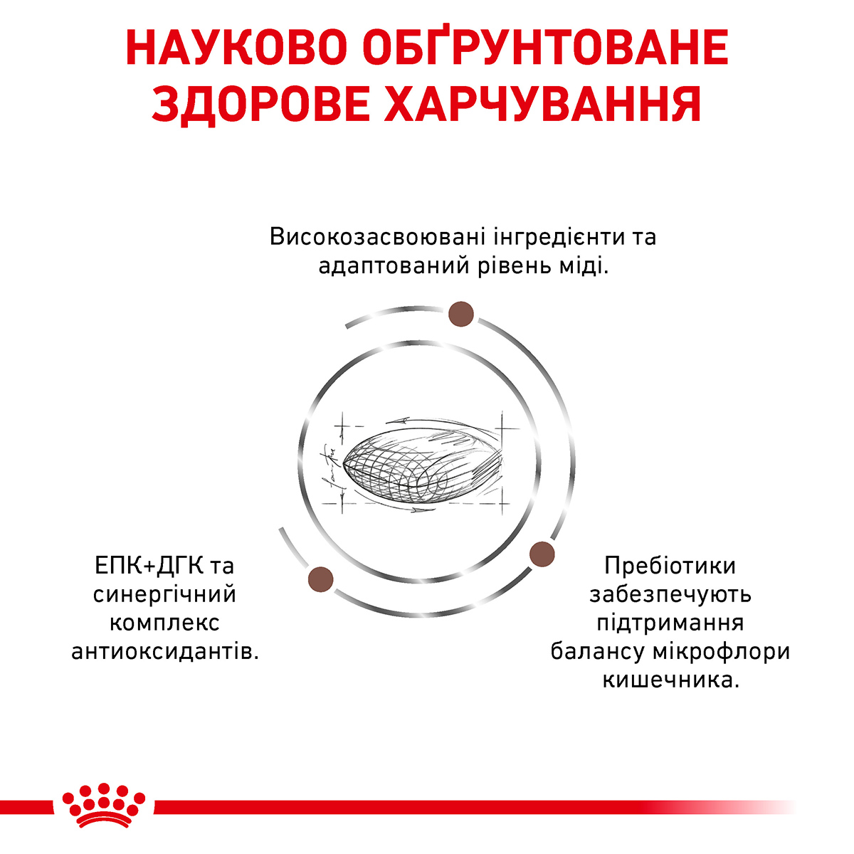 Сухий корм Royal Canin Hepatic Dog для собак при захворюваннях печінки 1,5кг