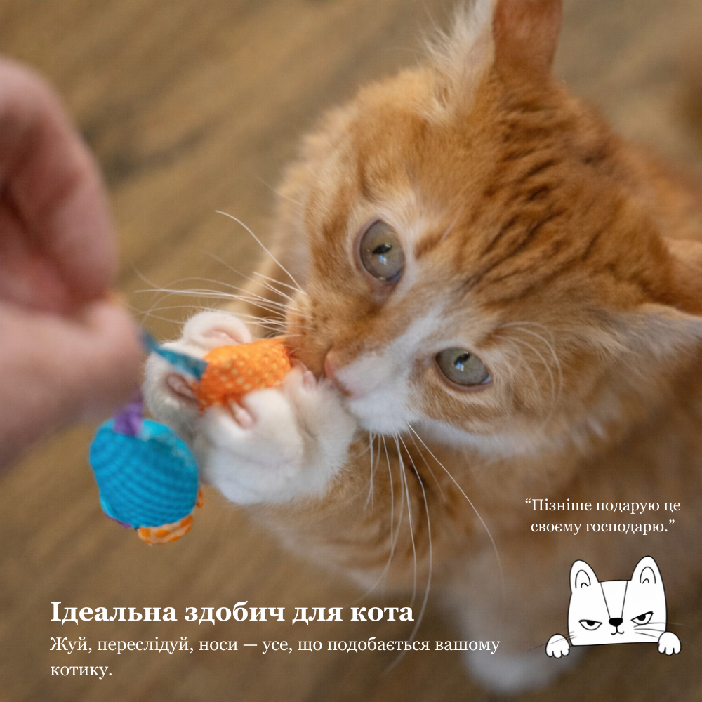 CATSTAGES Catnip Chew Mice Іграшка для котів Мишенята,2 шт