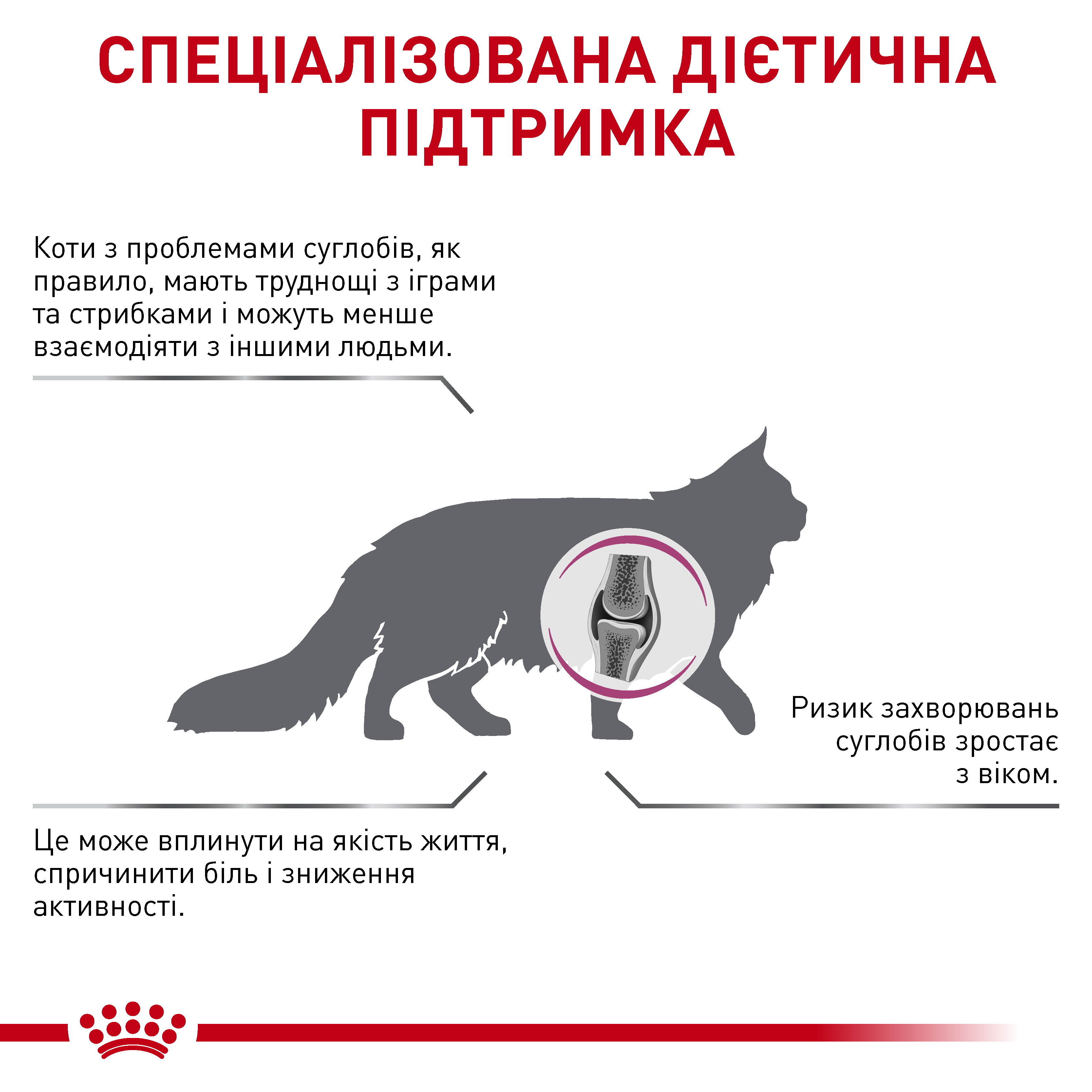 Сухий корм Royal Canin Mobility Feline для котів при захворюваннях суглобів 2кг