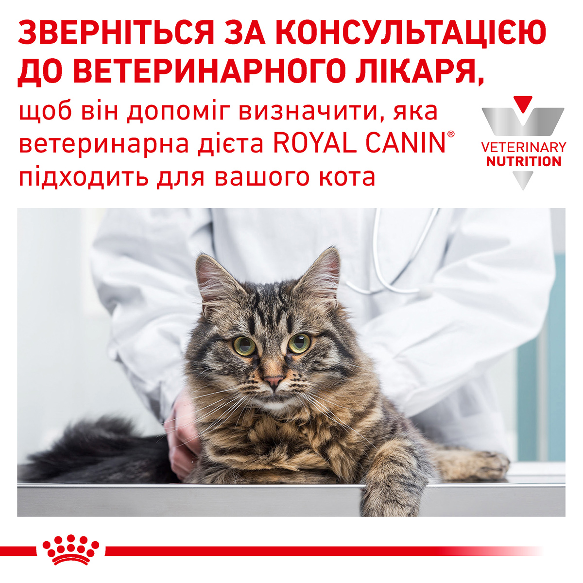 Вологий корм Royal Canin Recovery для собак та котів лікувальна дієта 195г
