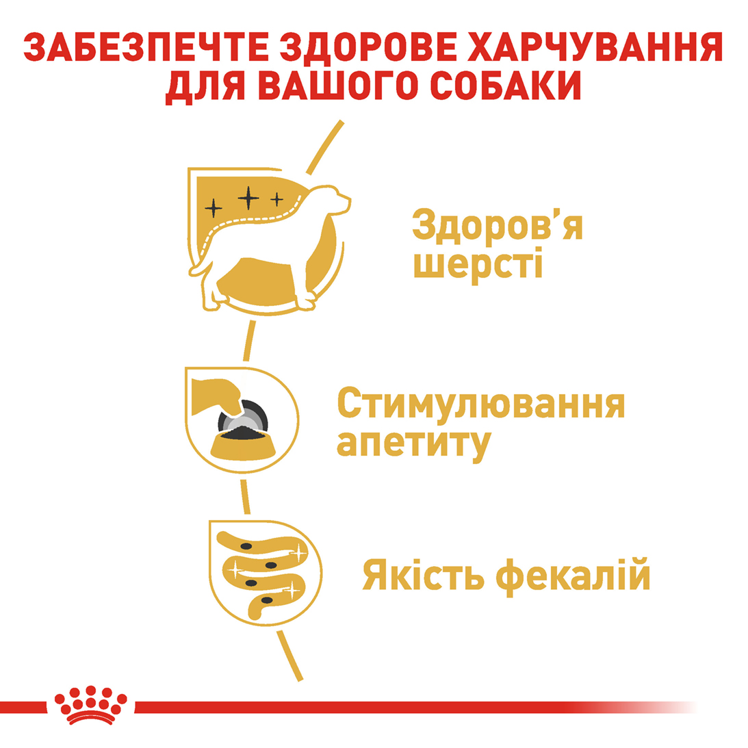Вологий корм Royal Canin Yorkshire Terrier для собак породи йоркширський тер'єр