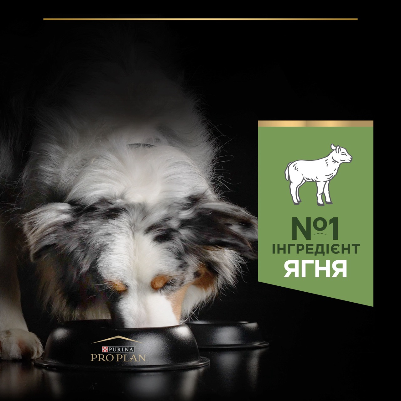 Сухий корм Purina Pro Plan Dog Adult Medium Sensitive Digestion Lamb для собак середніх порід з ягням 3 кг