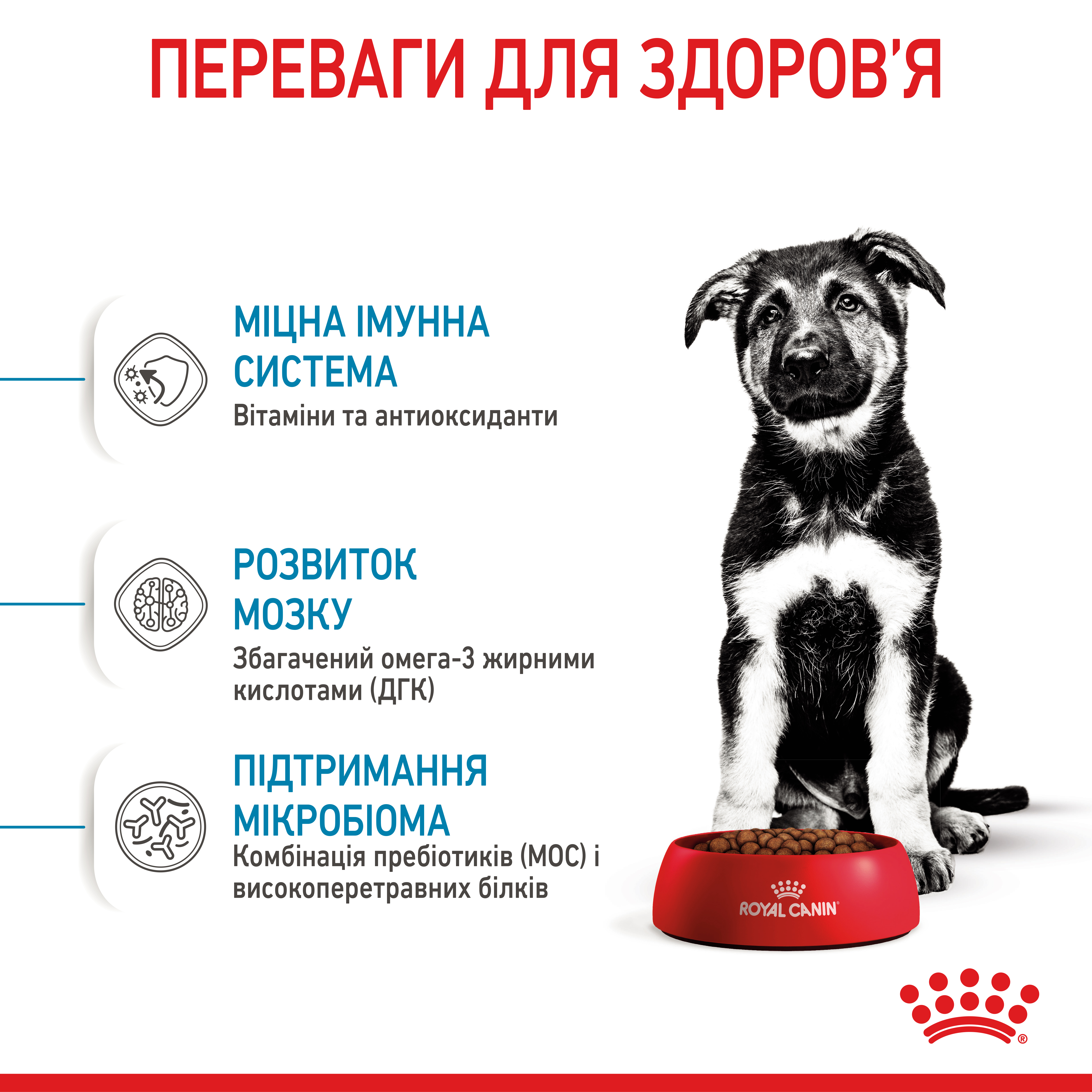 Сухий корм Royal Canin Maxi Puppy для цуценят великих порід 1кг