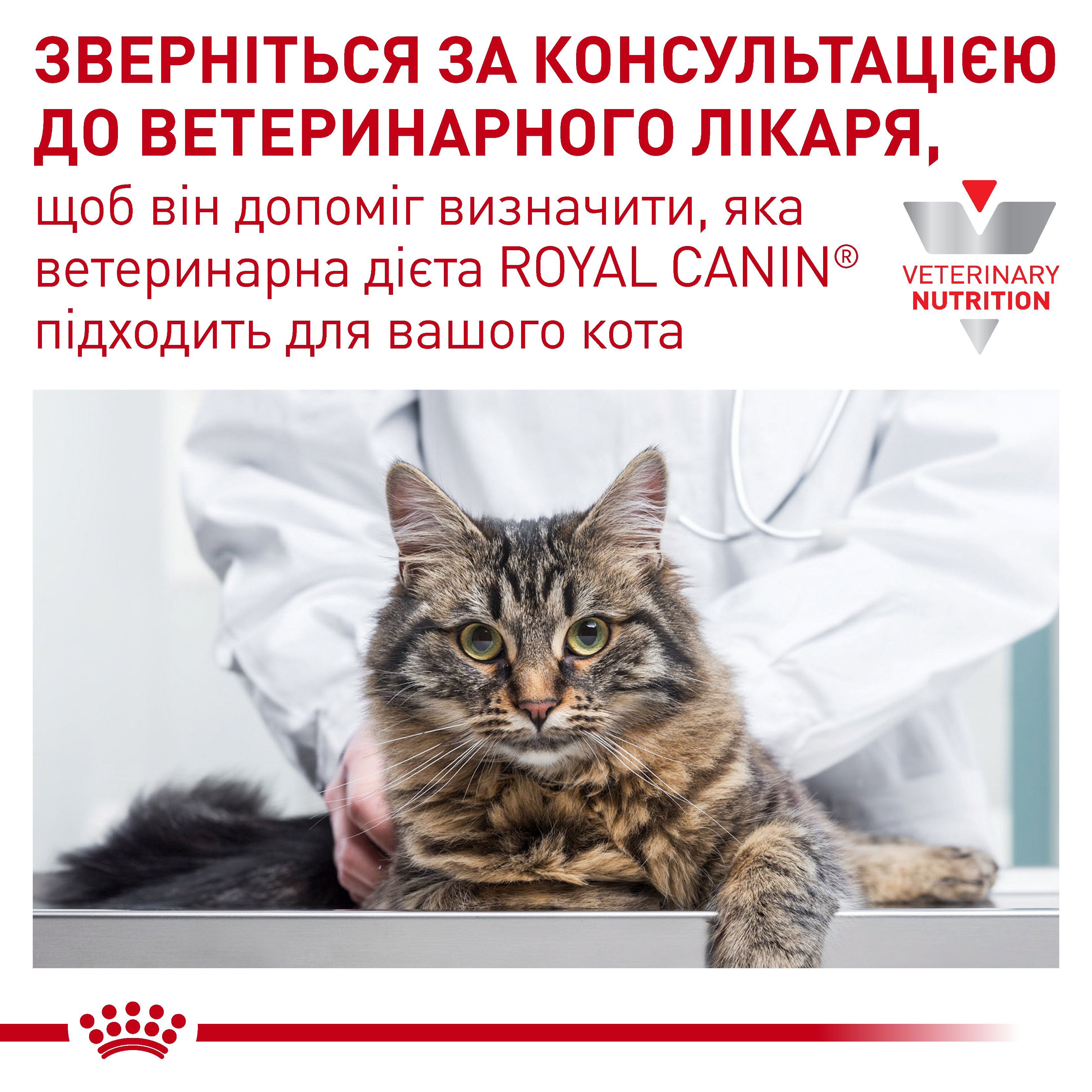 Сухий корм Royal Canin Gastrointestinal Fibre Response для котів при порушеннях травлення 2кг