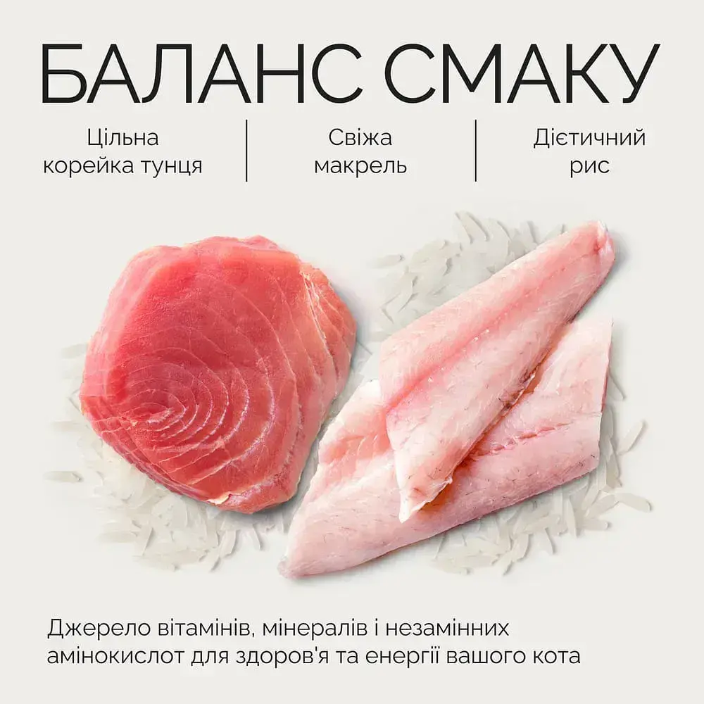 Вологий корм Savory Adult Cat Tuna Fillets rich in Mackerel in Jelly для дорослих котів філе тунця з макреллю в желе,70 г