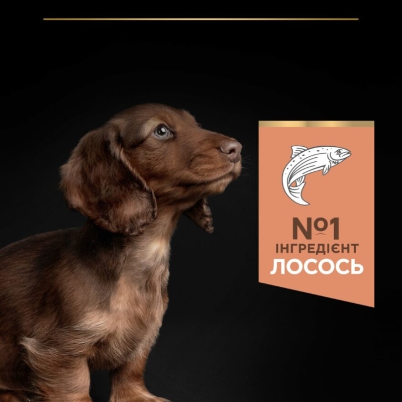 Сухий корм Purina Pro Plan Puppy Small & Mini Sensitive Skin для цуценят дрібних порід з чутливою шкірою,з лососем 3 кг