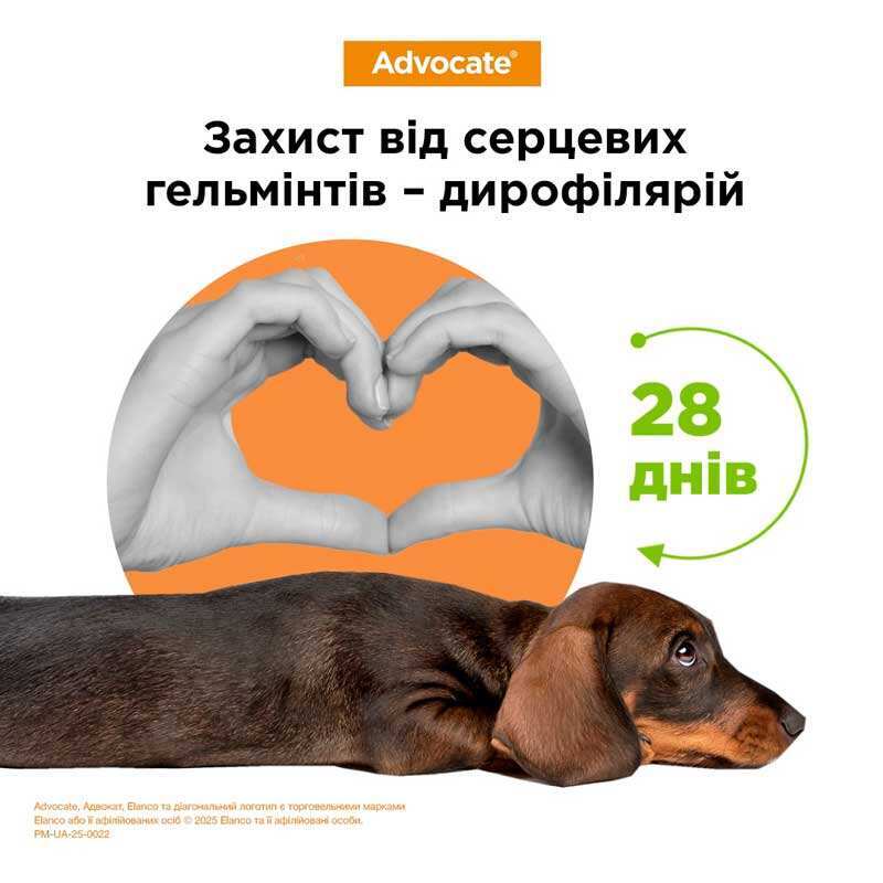 Elanco Advocate -протипаразитарні краплі Адвокат на холку від зовнішніх і внутрішніх паразитів для собак вагою до 4 кг, 1 піпетка