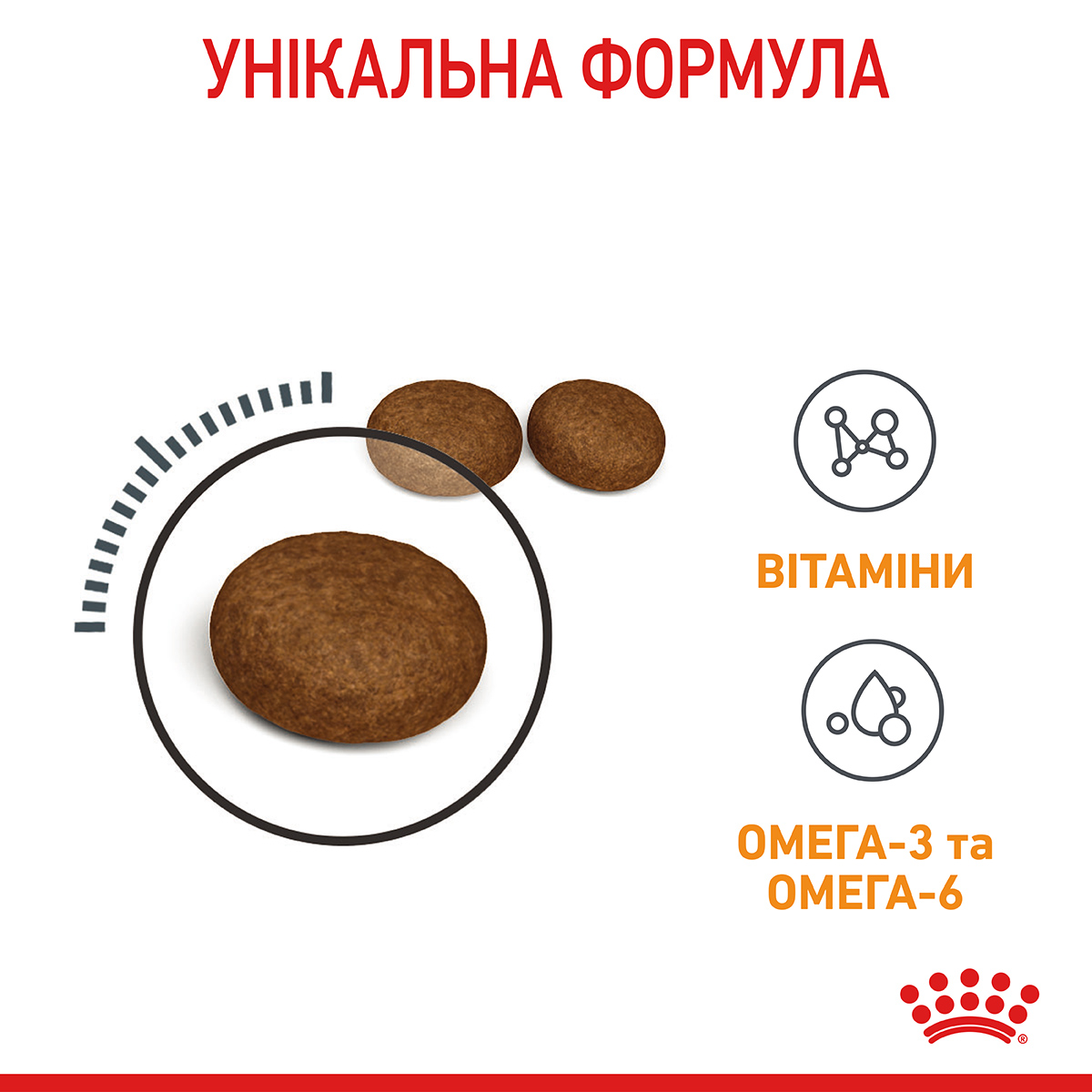 Акція Сухий корм Royal Canin Hair and Skin для котів підтримка здоров'я шкіри і шерсті 1,6 кг+400 г