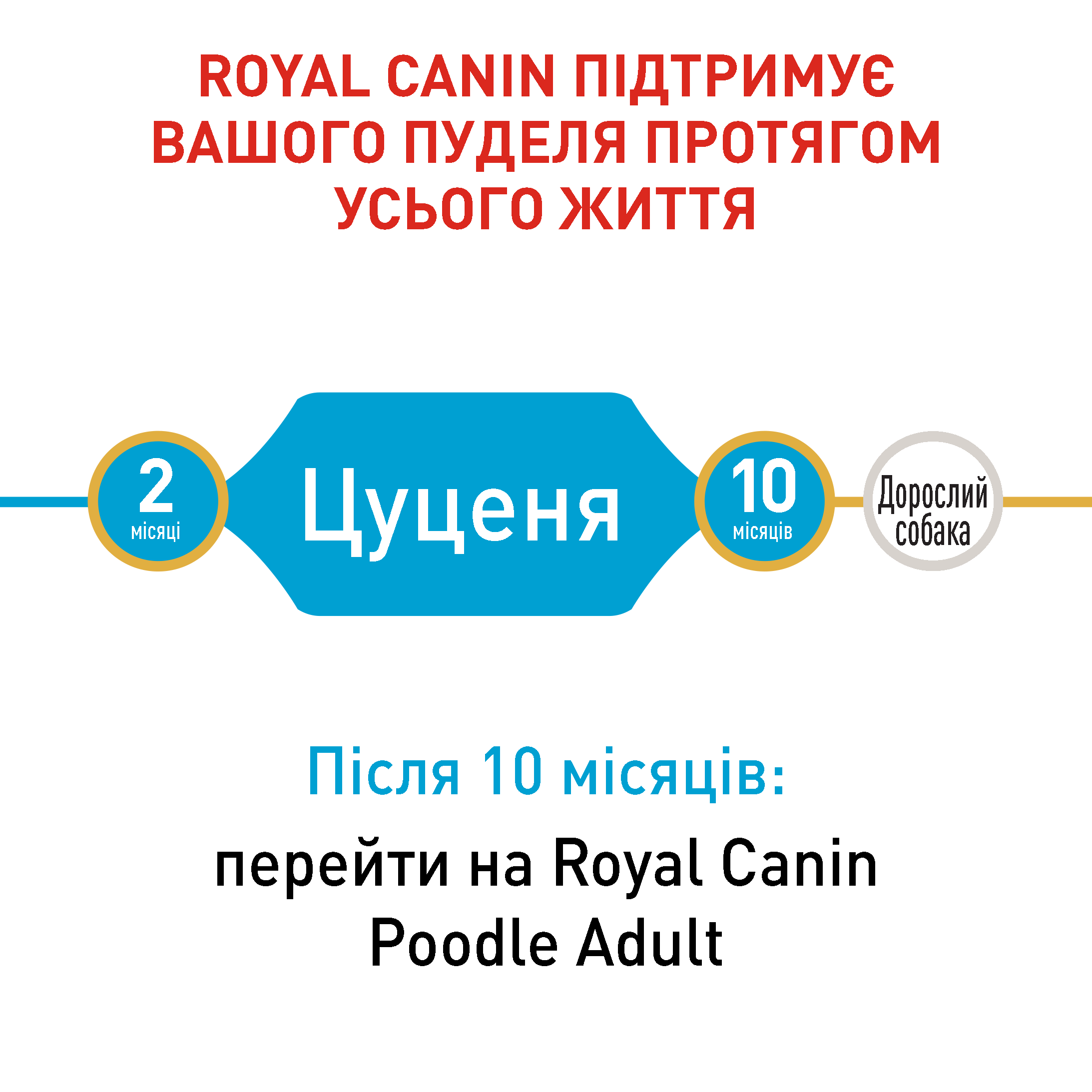 Сухий корм Royal Canin Poodle Puppy для цуценят породи Пудель 500 г