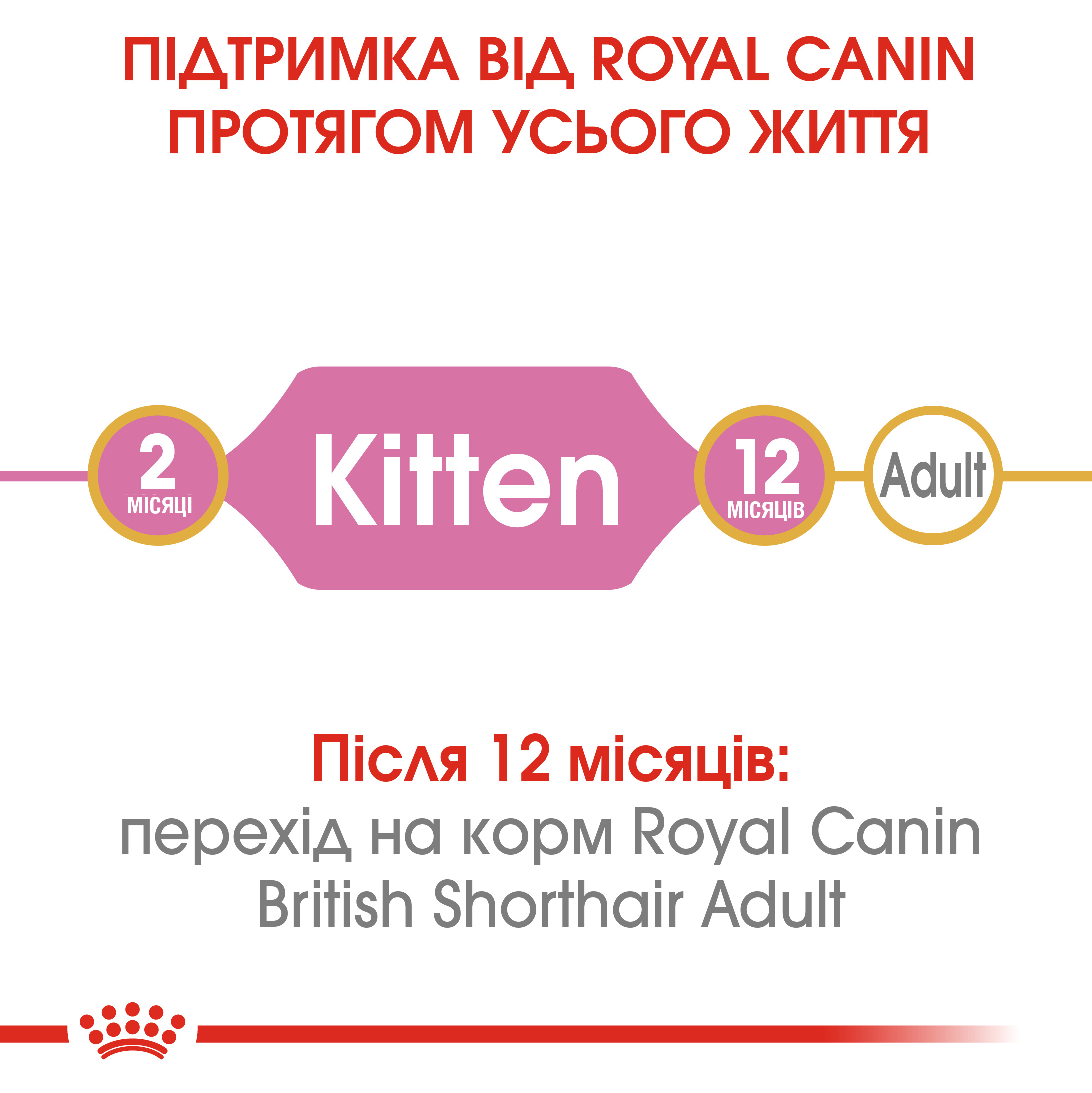 Сухий корм Royal Canin British Shorthair Kitten для кошенят породи Британська короткошерстна 2кг