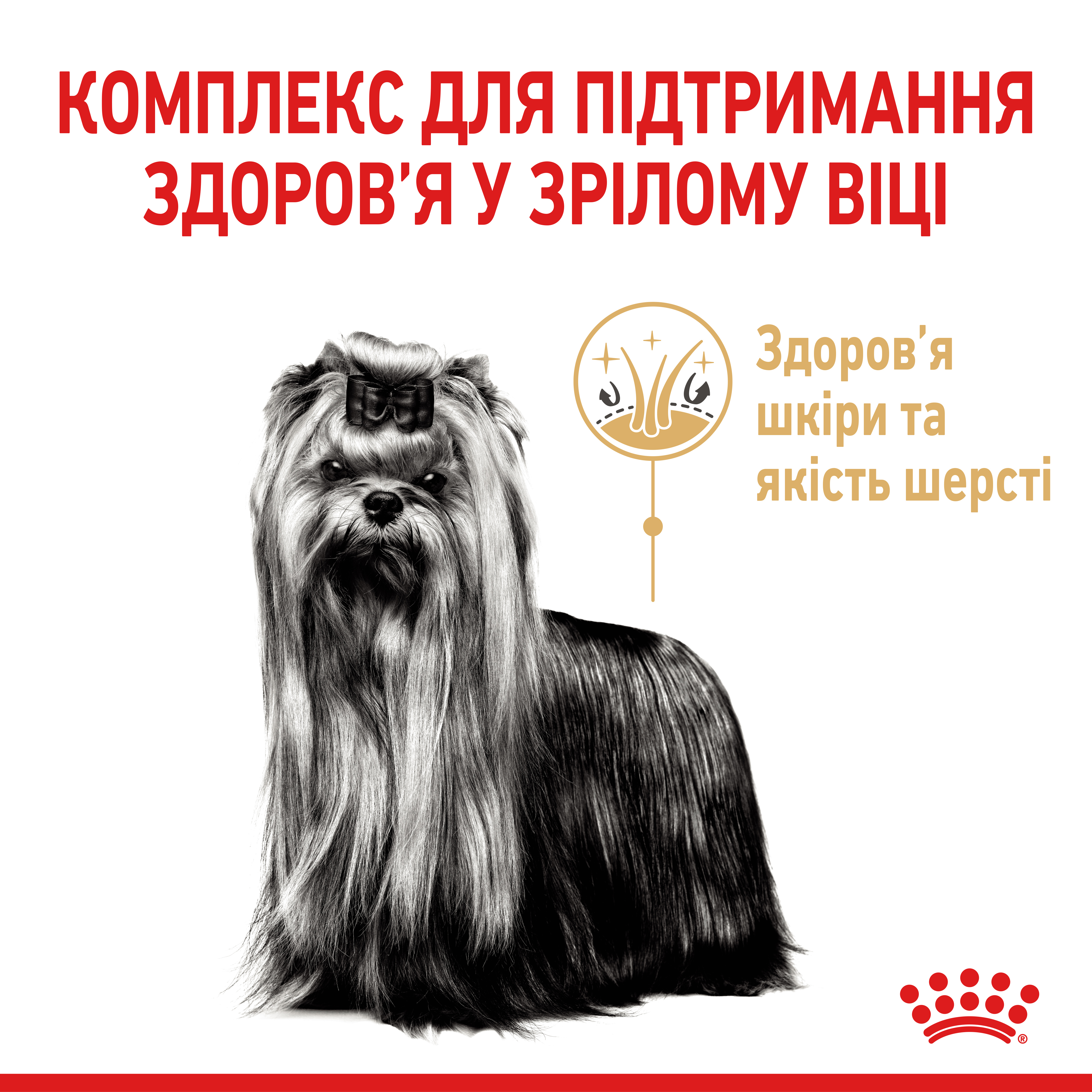 Сухий корм Royal Canin Yorkshire Terrier Ageing 8+ для собак породи Йоркширських тер'єр старших 8 років 1,5 кг
