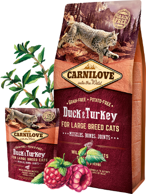 Сухий корм CarniLove Duck and Turkey для котів великих порід 400г