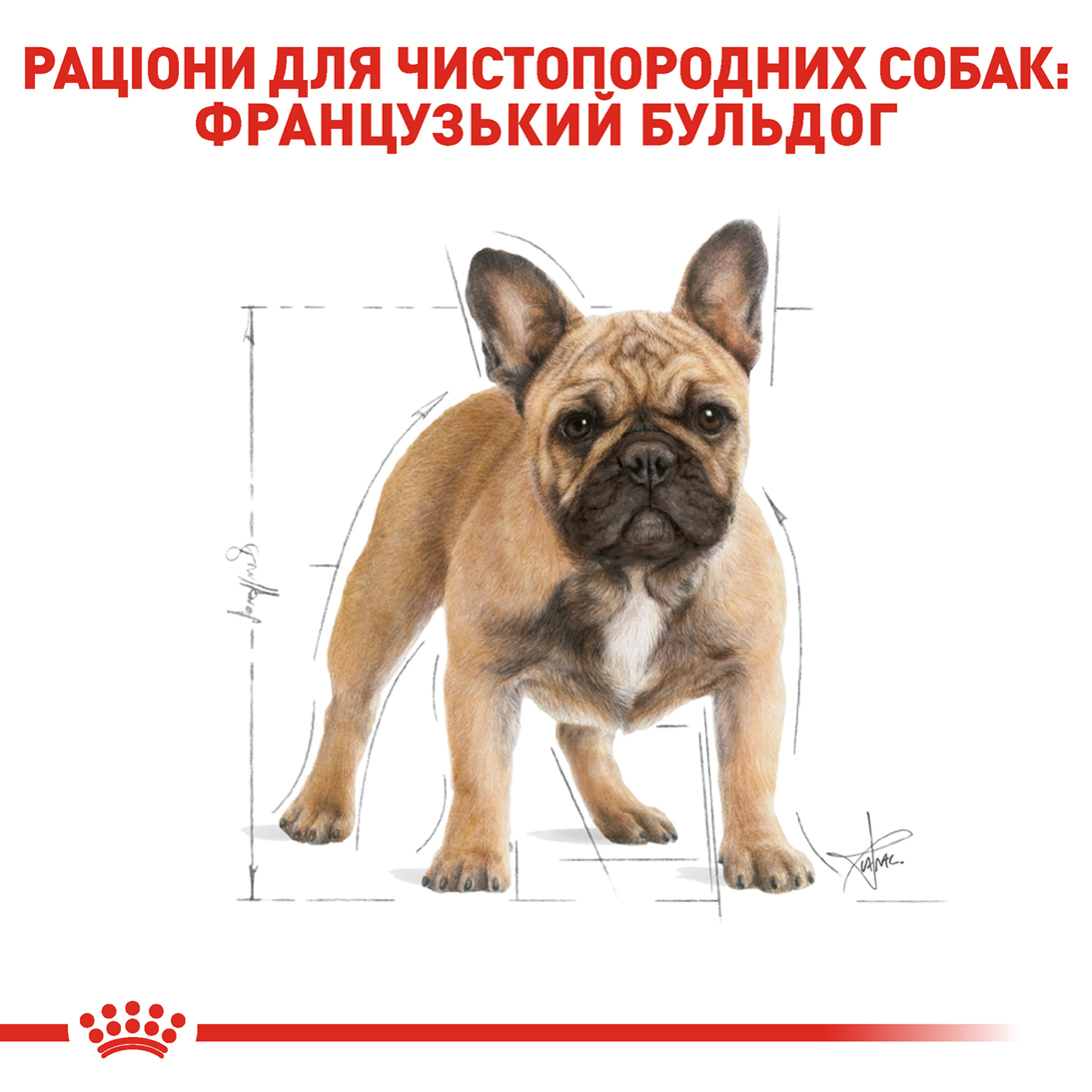Сухий корм Royal Canin French Bulldog Adult для французських бульдогів 1,5кг
