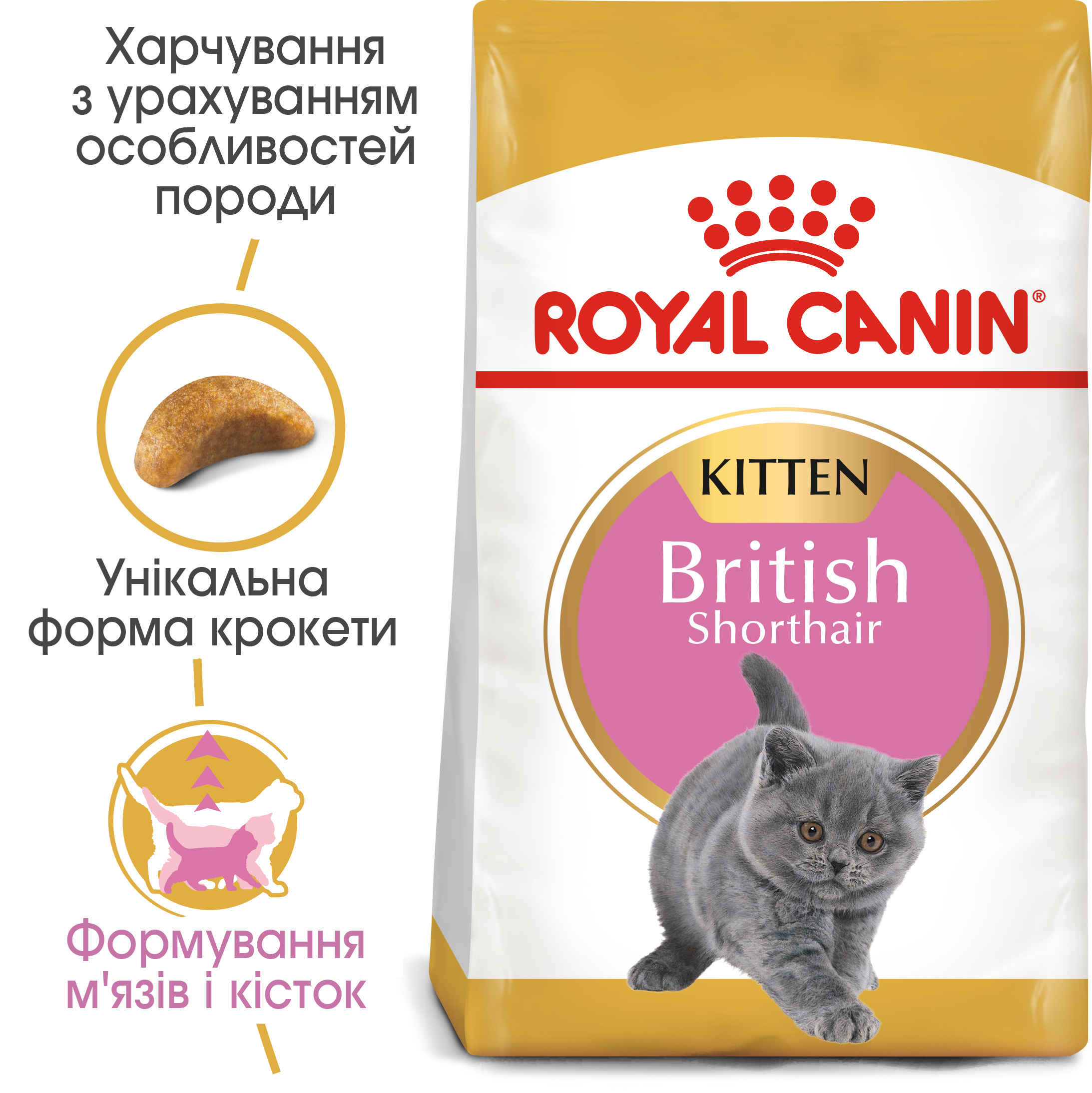 Сухий корм Royal Canin British Shorthair Kitten для кошенят породи Британська короткошерстна 2кг