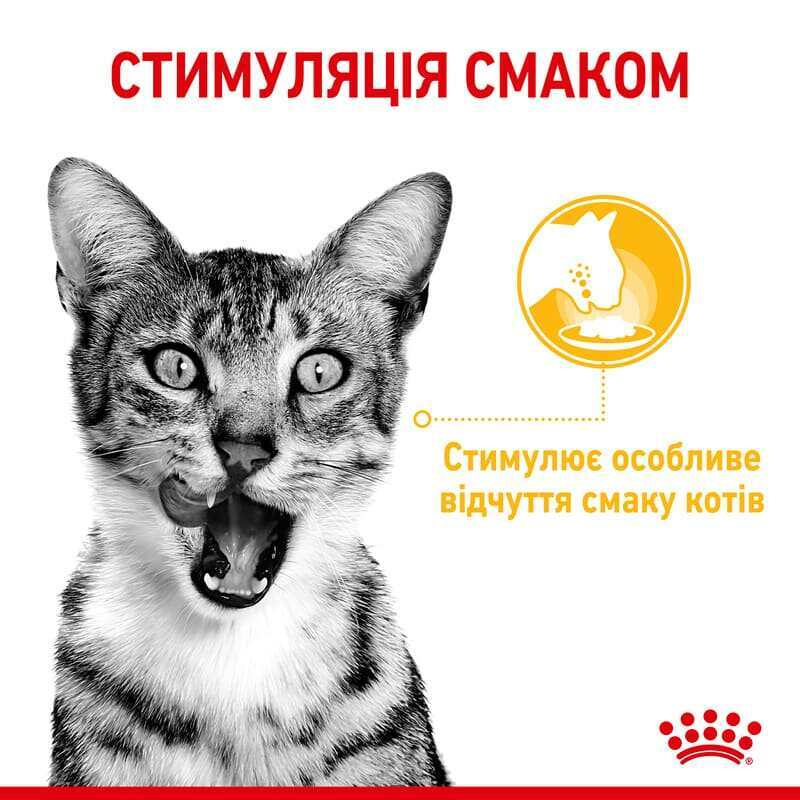 Вологий корм Royal Canin Sensory Taste in Jelly для котів у жиле  для стимуляції смакових рецепторів дорослих улюбленців 85 г