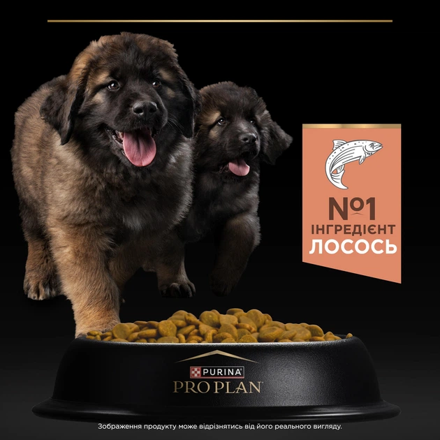 Сухий корм Purina Pro Plan Large Robust Puppy Sensitive Skin для цуценят великих порід масивної статури з чутливою шкірою,з лососем 12 кг
