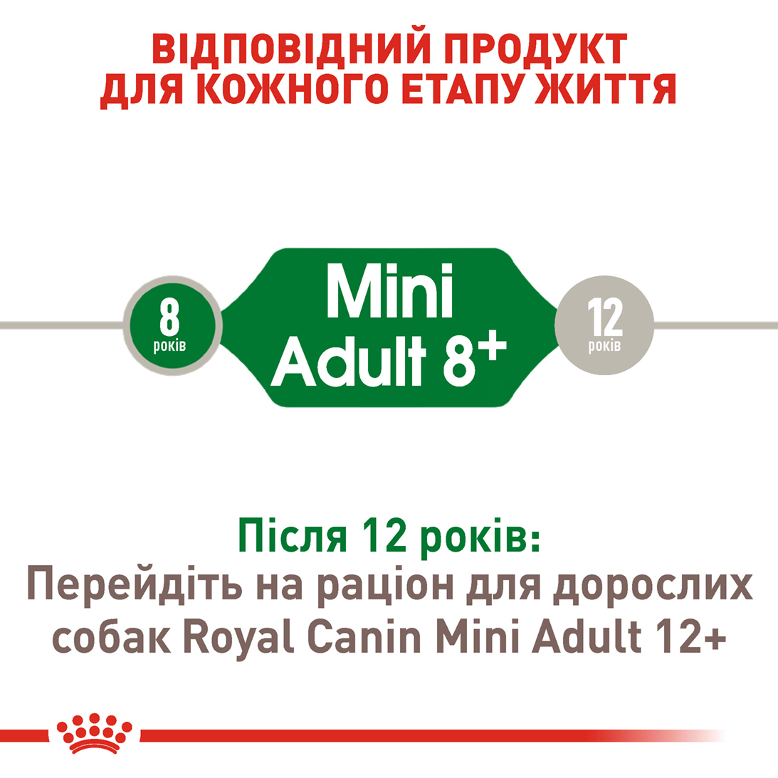 Сухий корм Royal Canin Mini Adult 8+ для дрібних собак похилого віку 800г
