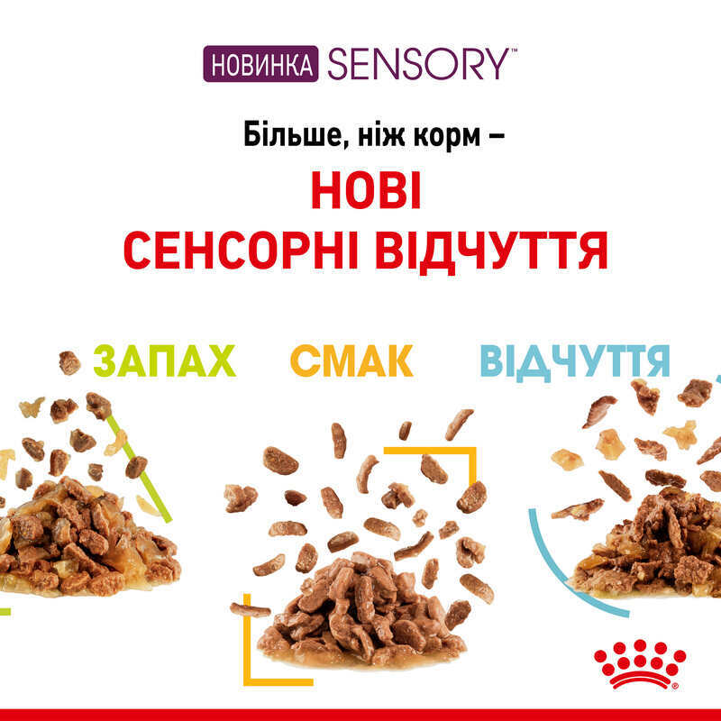 Вологий корм Royal Canin Sensory Feel in Gravy для котів у соусі-сенсорна формула з апетитною текстурою для вибагливих улюбленців 85 г
