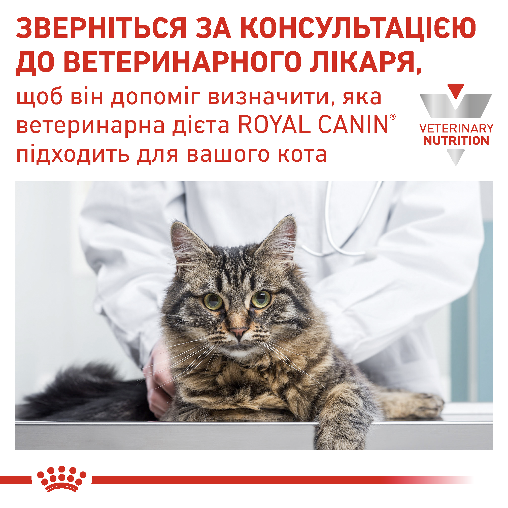 Вологий корм Royal Canin Sensitivity Control для котів при харчовій алергії