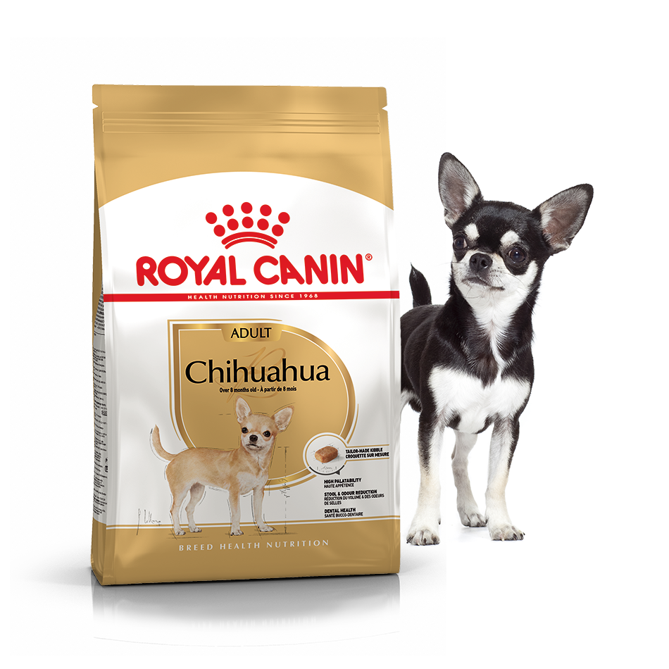 Сухий корм Royal Canin Chihuahua Adult для чихуахуа 500г