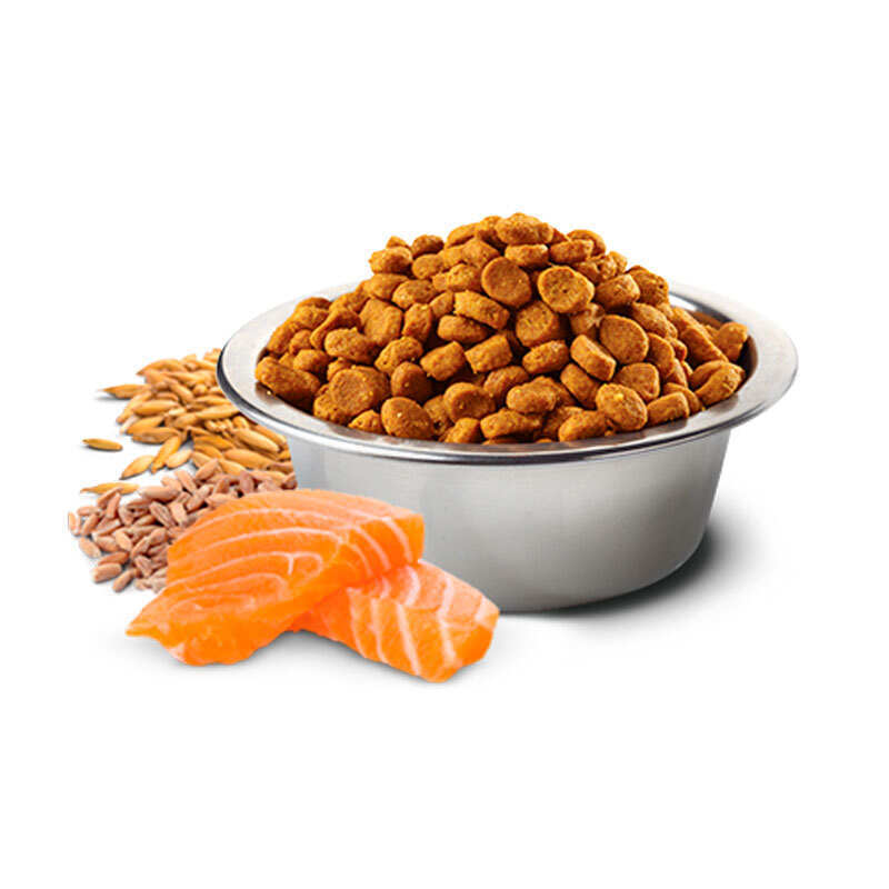 Сухий корм Farmina N&D Tropical Selection Salmon Adult Medium&Maxi Salmon & Tropical fruits для собак середніх та великих порід з лососем і тропічними фруктами 2,5 кг