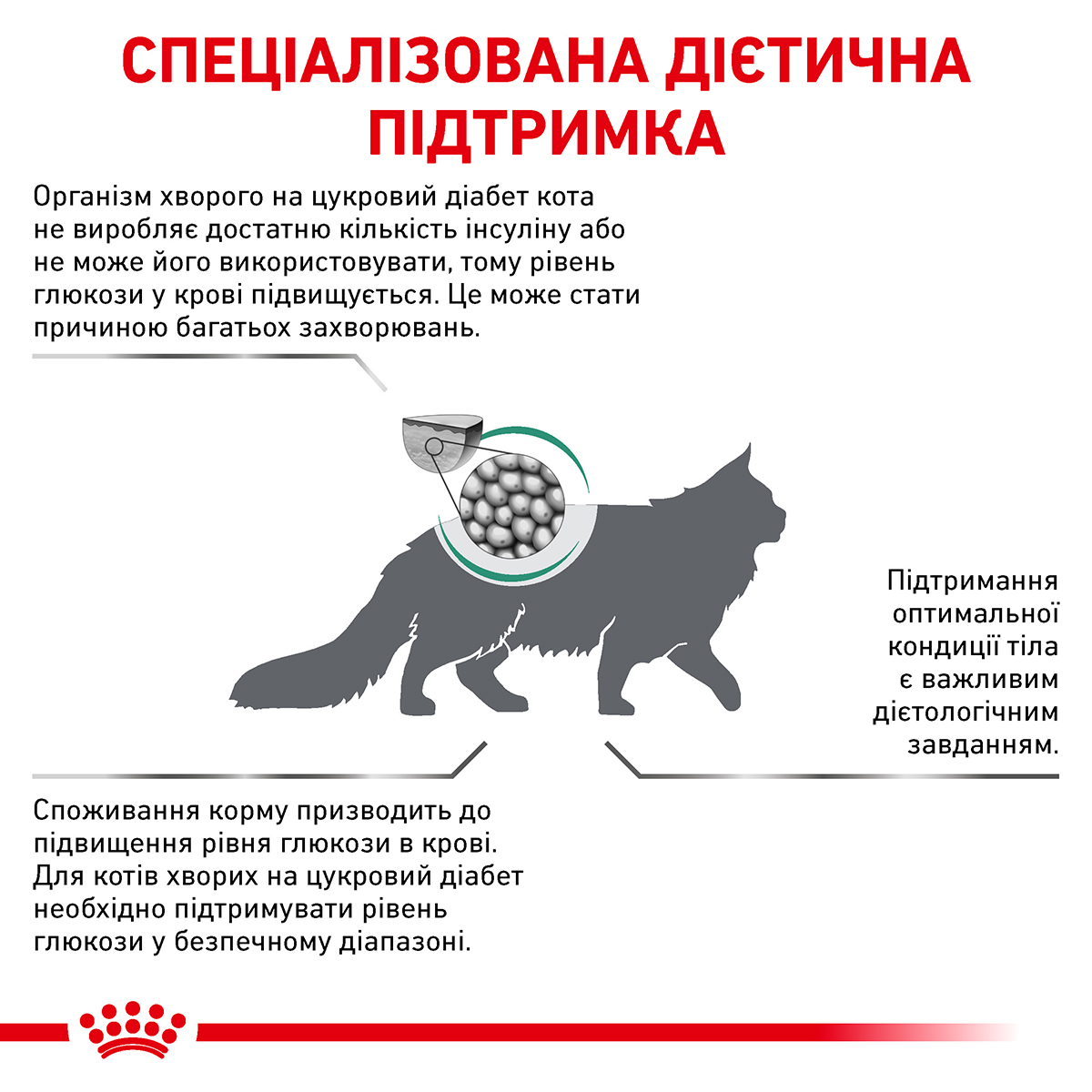 Сухий корм Royal Canin Diabetic Cat для котів при лікуванні цукрового діабету 400г