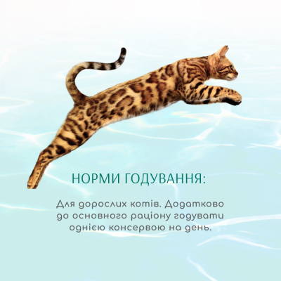 Вологий корм Optimeal Cat Beauty Fitness з тунцем та креветками 70г