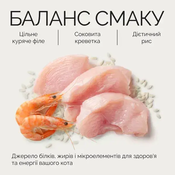Вологий корм Savory Adult Cat Chicken Fillets rich in Shrimps in Jelly для дорослих котів філе курки з креветками в желе,70 г