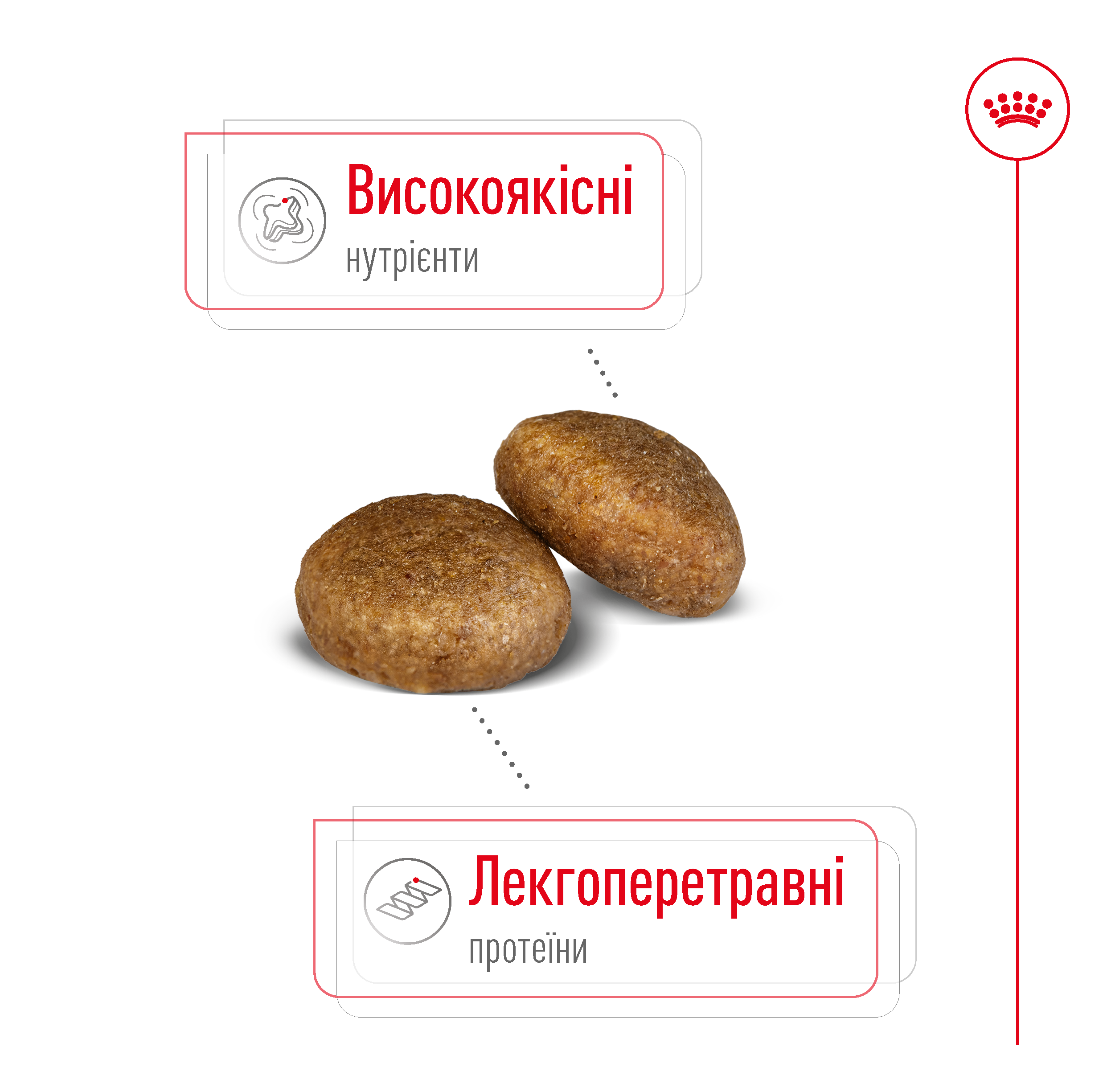 Сухий корм Royal Canin Maxi Adult для собак великих порід 4кг
