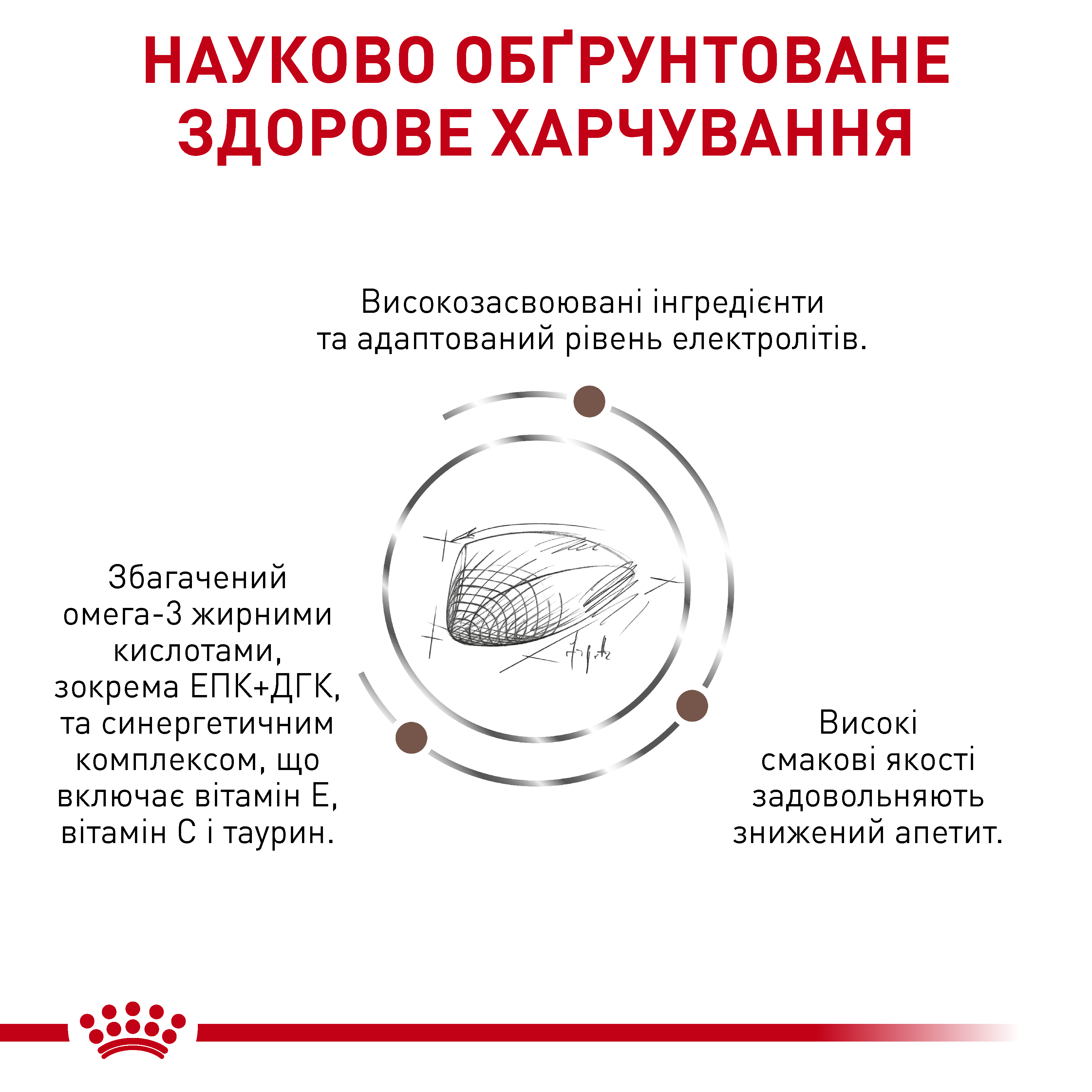 Сухий корм Royal Canin Gastro Intestinal Feline Cat для котів при порушеннях травлення 2 кг