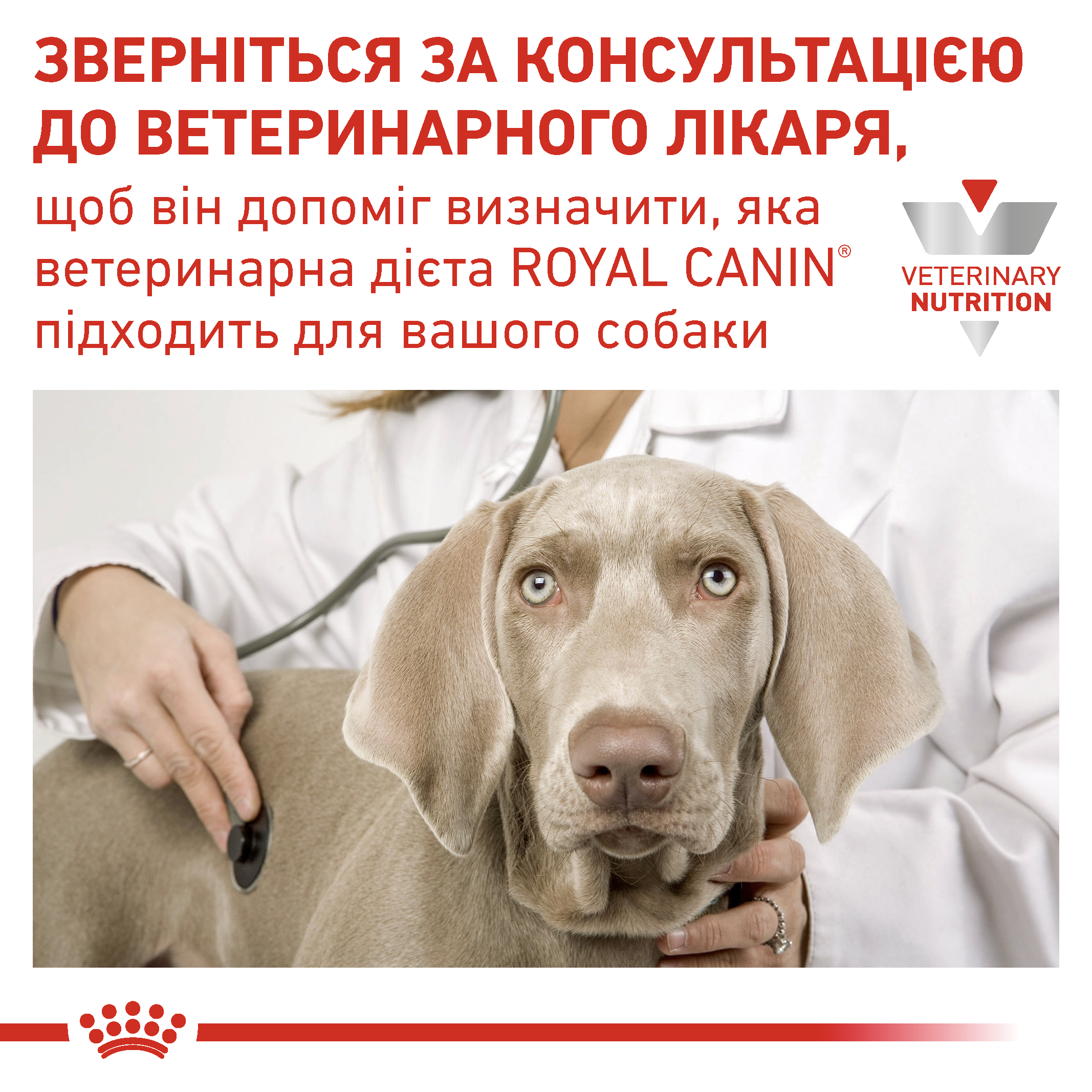 Вологий корм Royal Canin Sensitivity Control для собак при алергіях та неперносимості з качкою